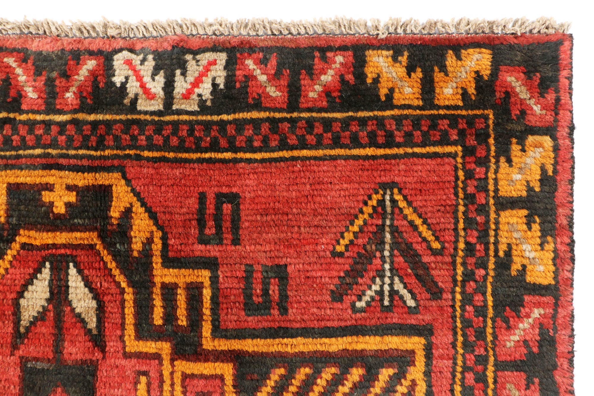 SHINDANDI BALUCHI