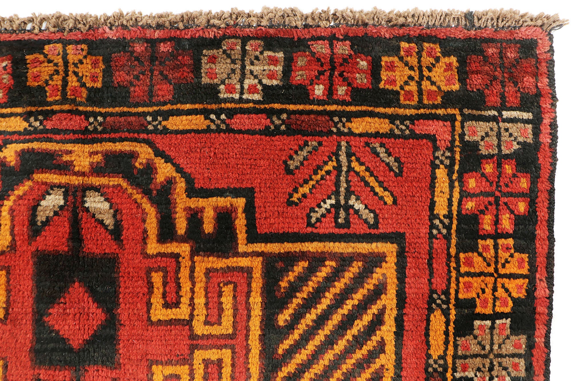 SHINDANDI BALUCHI