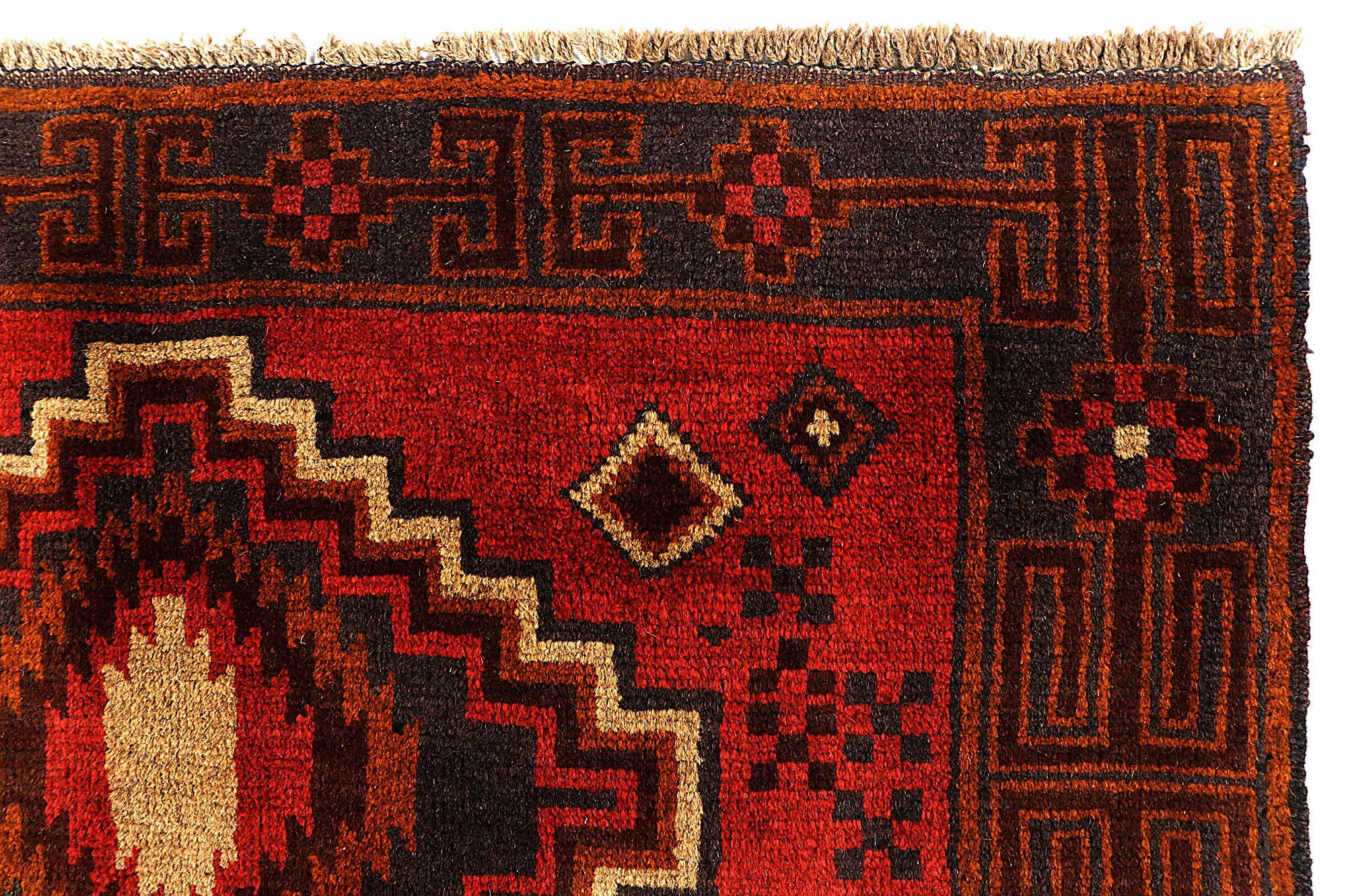 SHINDANDI BALUCHI