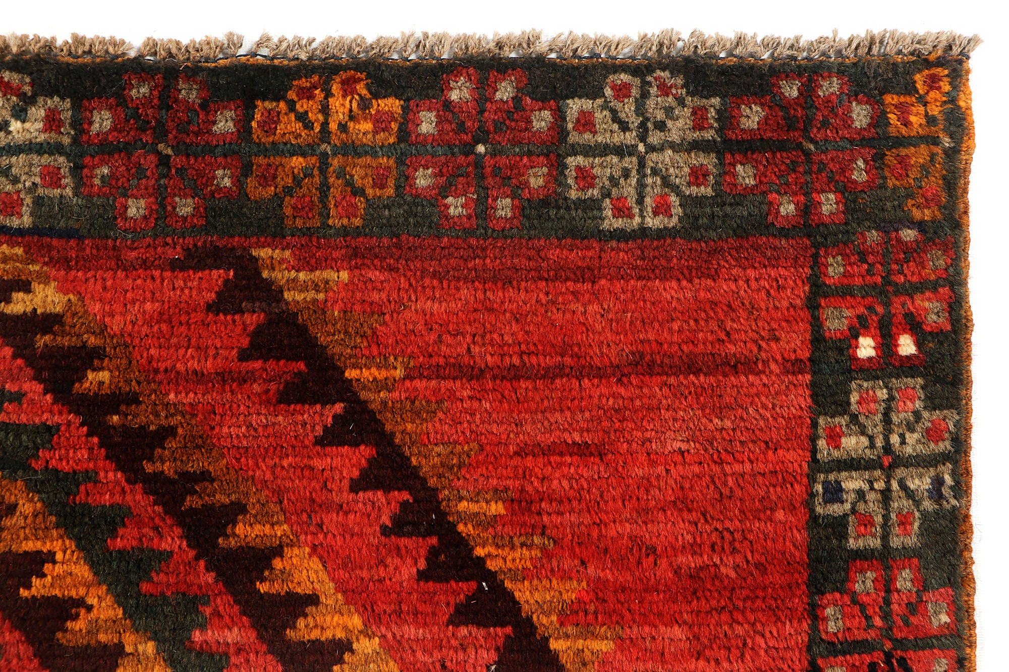 SHINDANDI BALUCHI