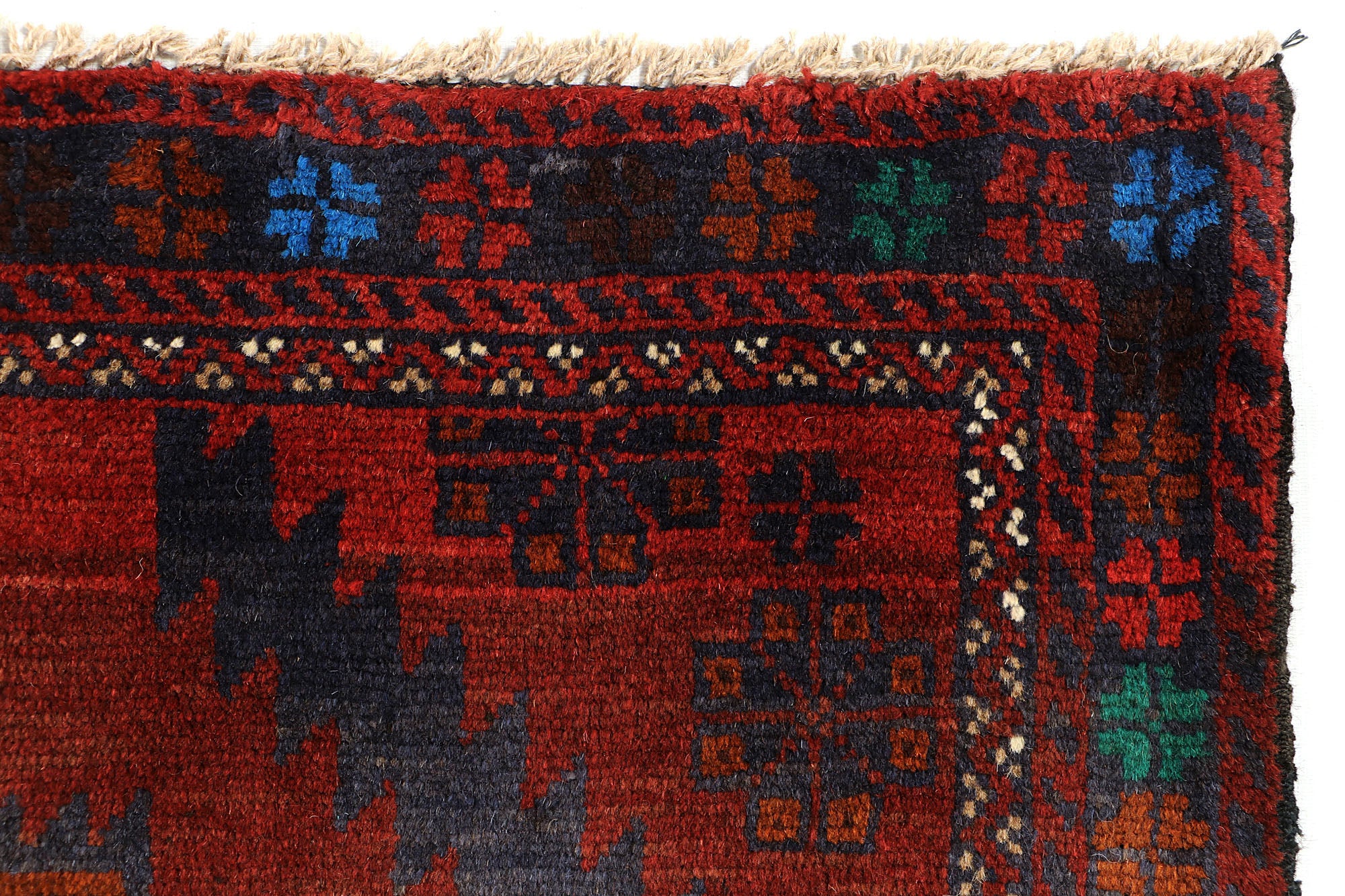 SHINDANDI BALUCHI