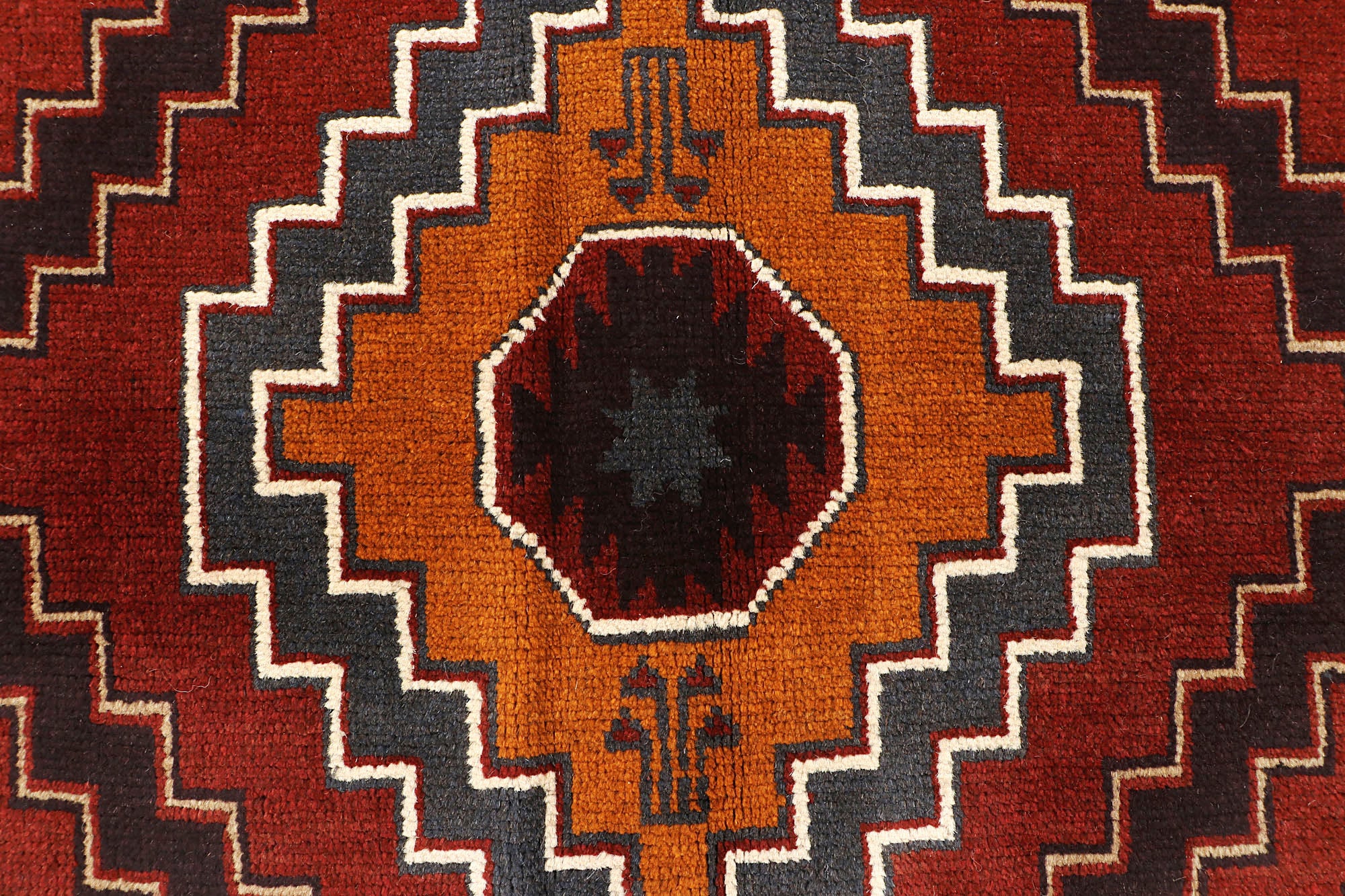 SHINDANDI BALUCHI