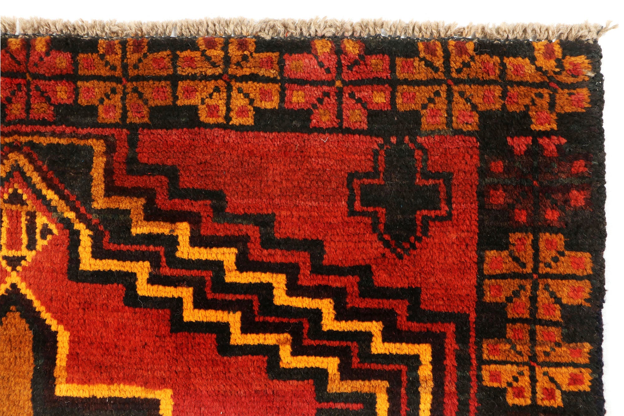 SHINDANDI BALUCHI