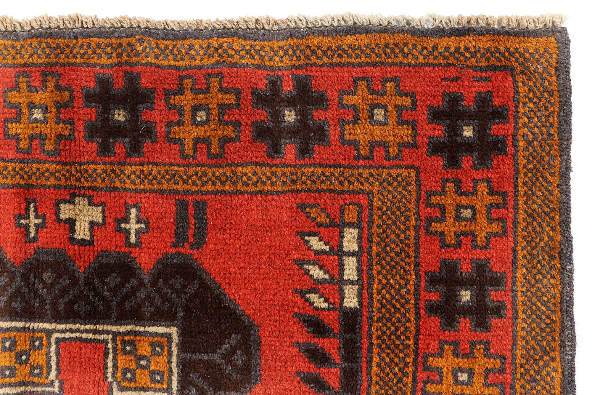 SHINDANDI BALUCHI