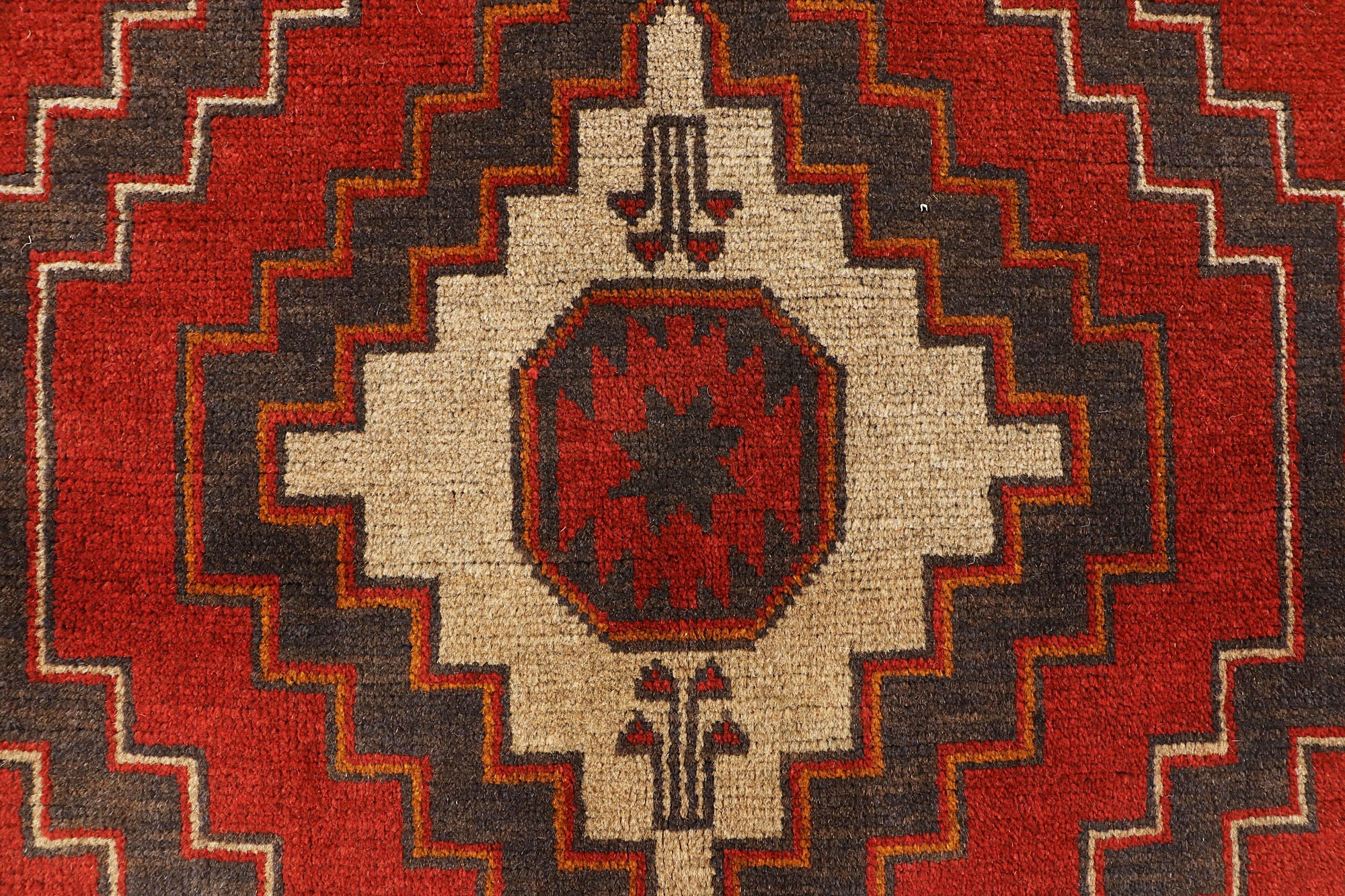 SHINDANDI BALUCHI