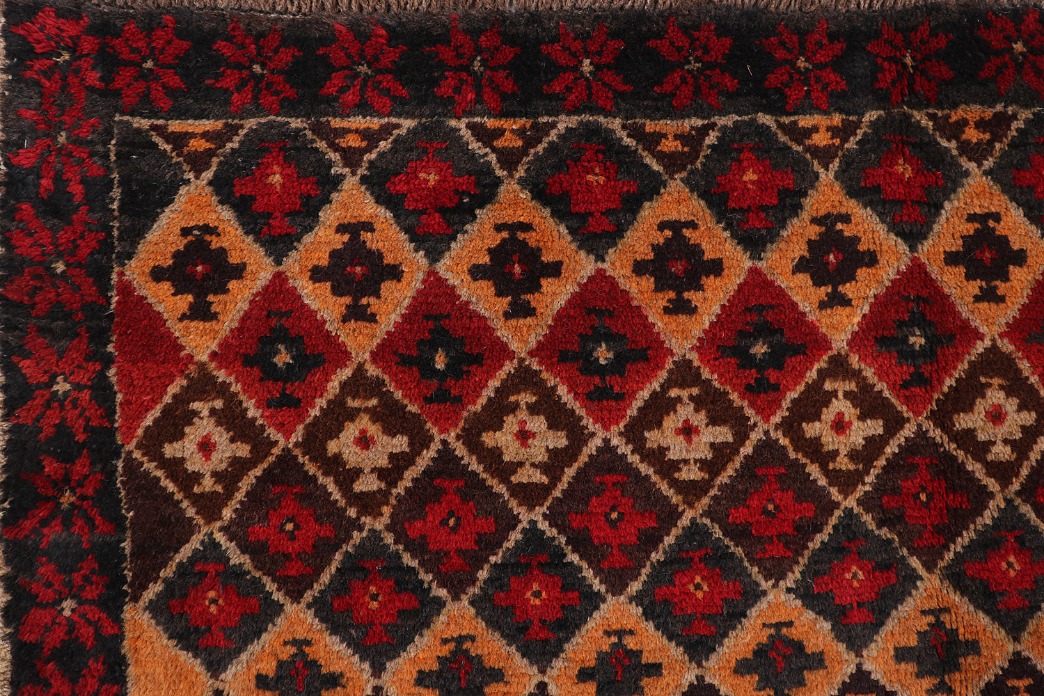 SHINDANDI BALUCHI