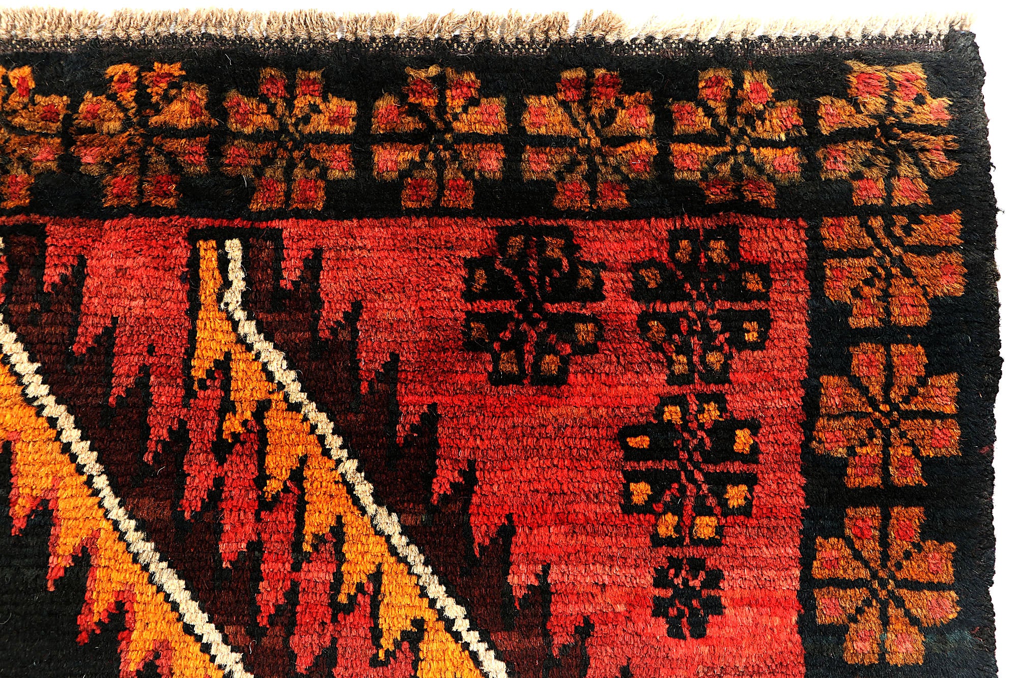 SHINDANDI BALUCHI
