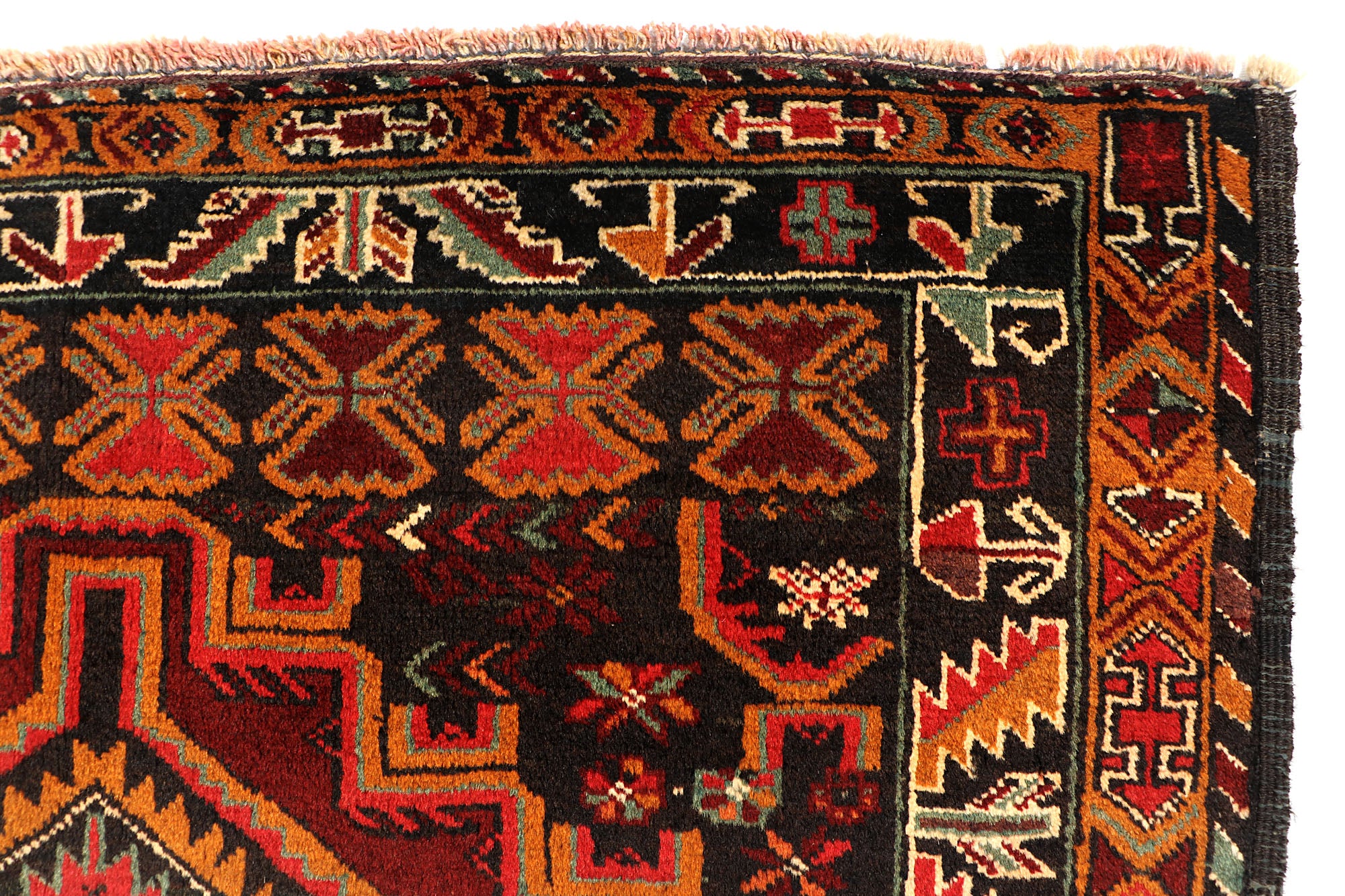 SHINDANDI BALUCHI