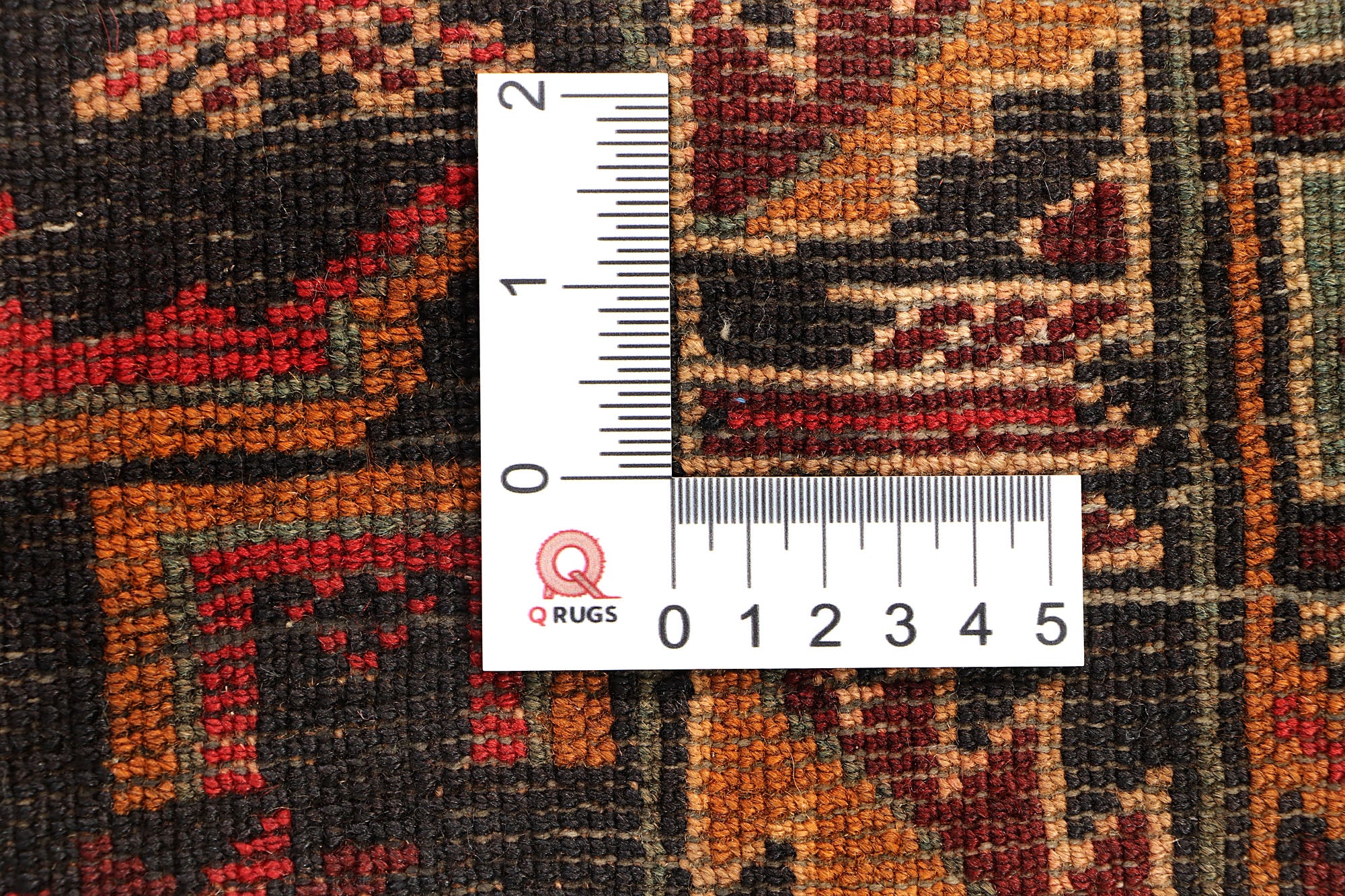 SHINDANDI BALUCHI