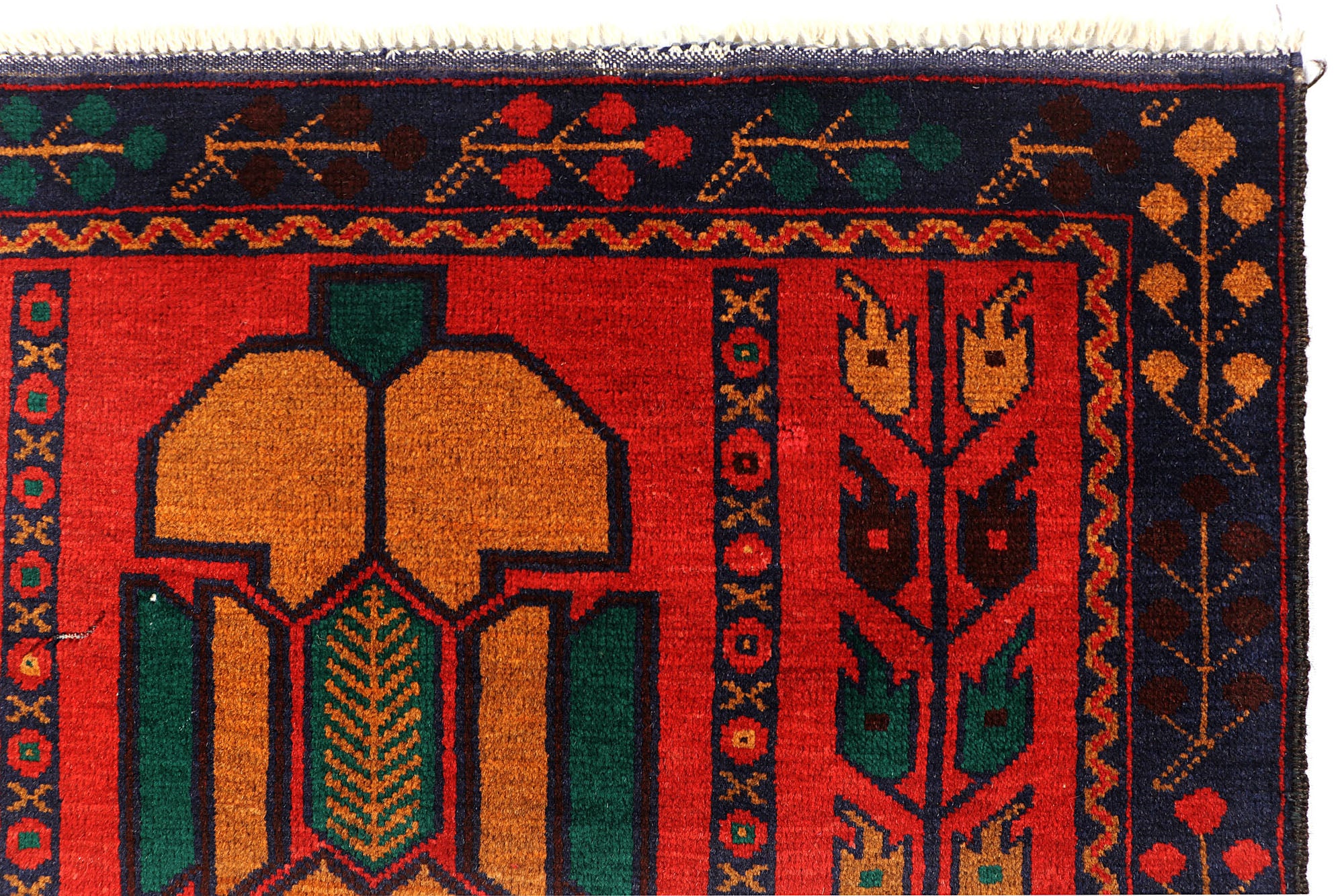 SHINDANDI BALUCHI