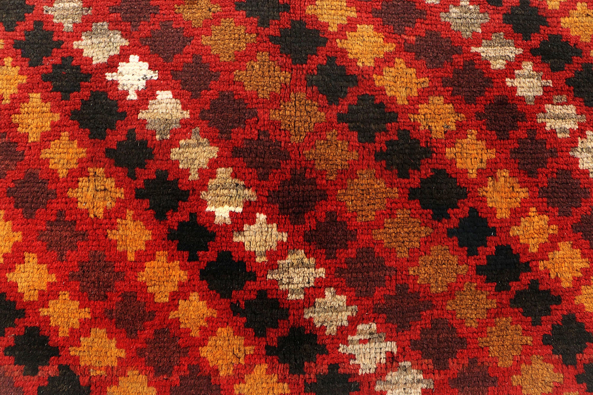 SHINDANDI BALUCHI