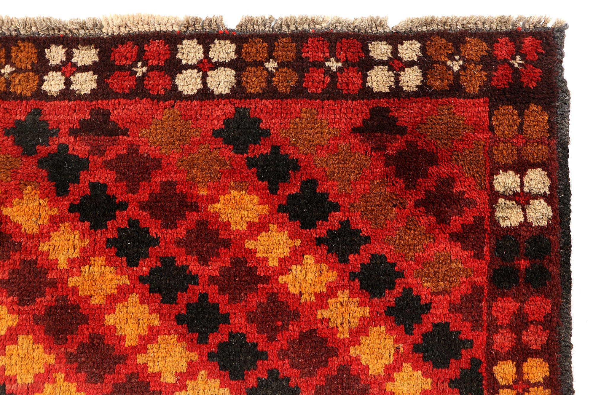 SHINDANDI BALUCHI