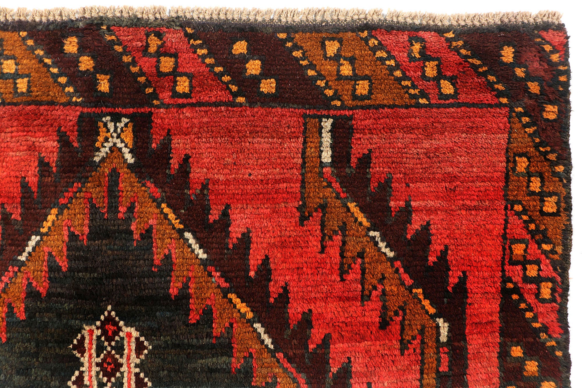 SHINDANDI BALUCHI