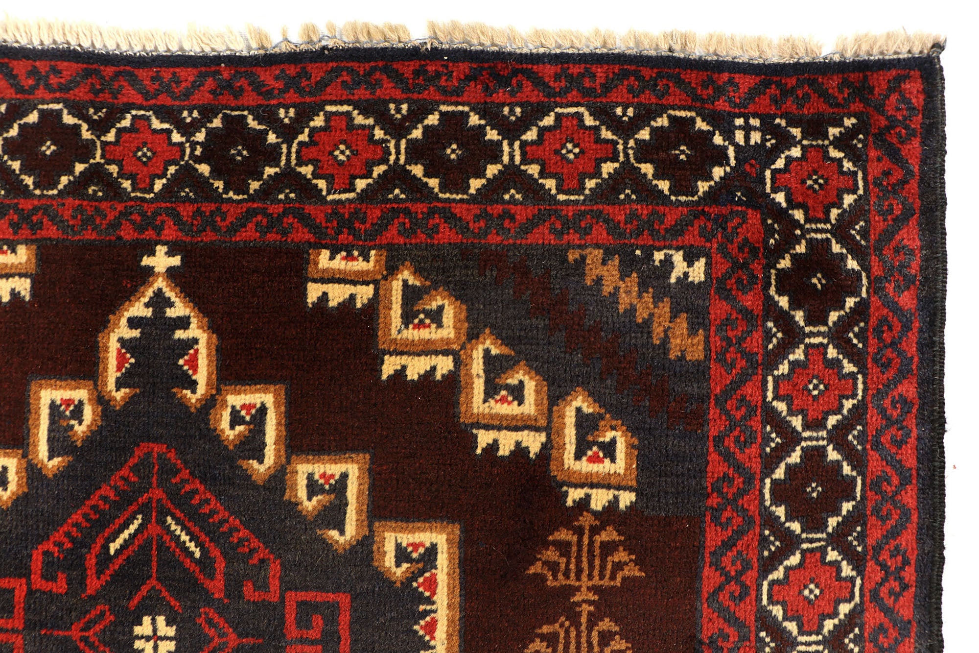SHINDANDI BALUCHI