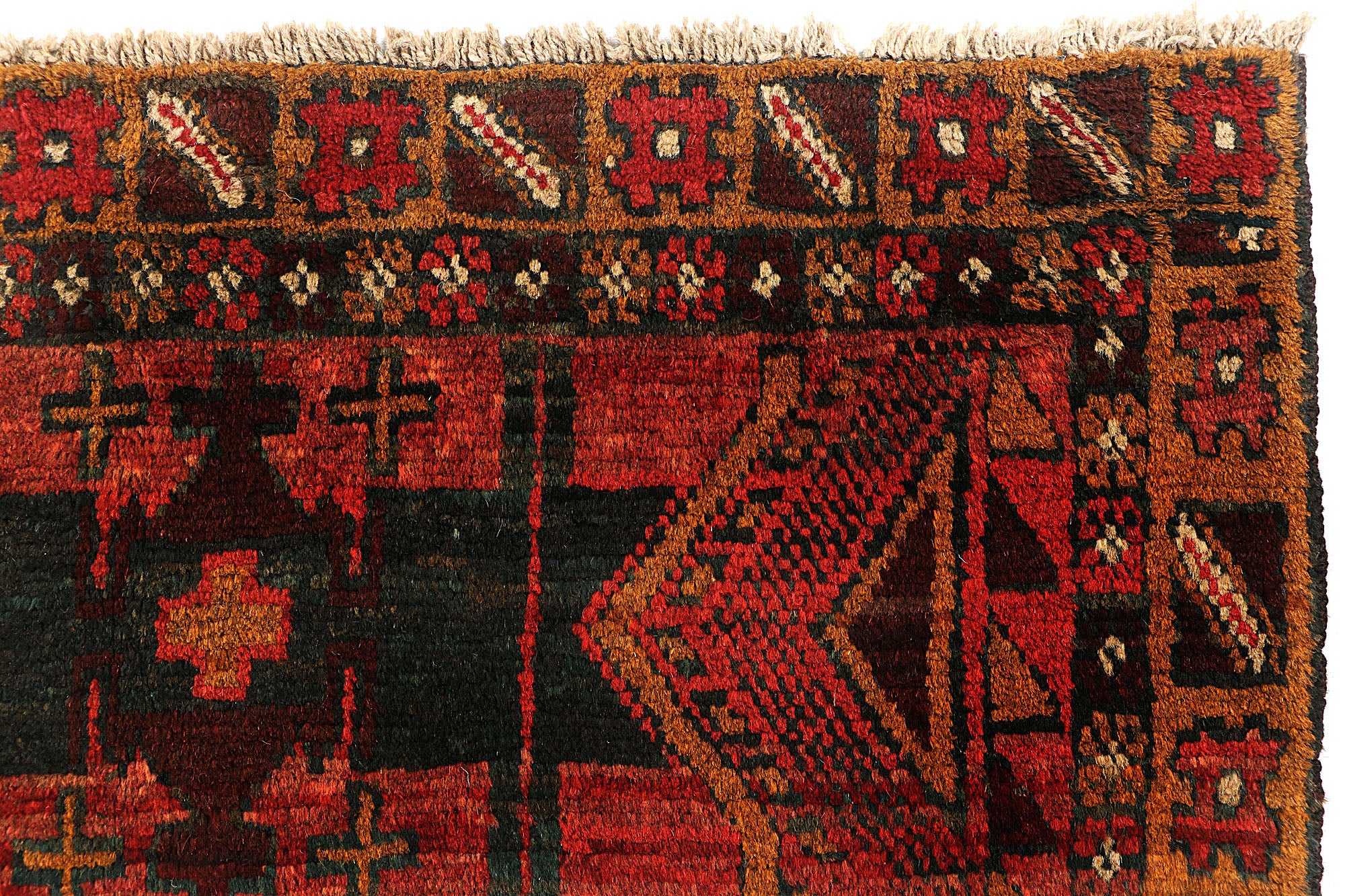 SHINDANDI BALUCHI