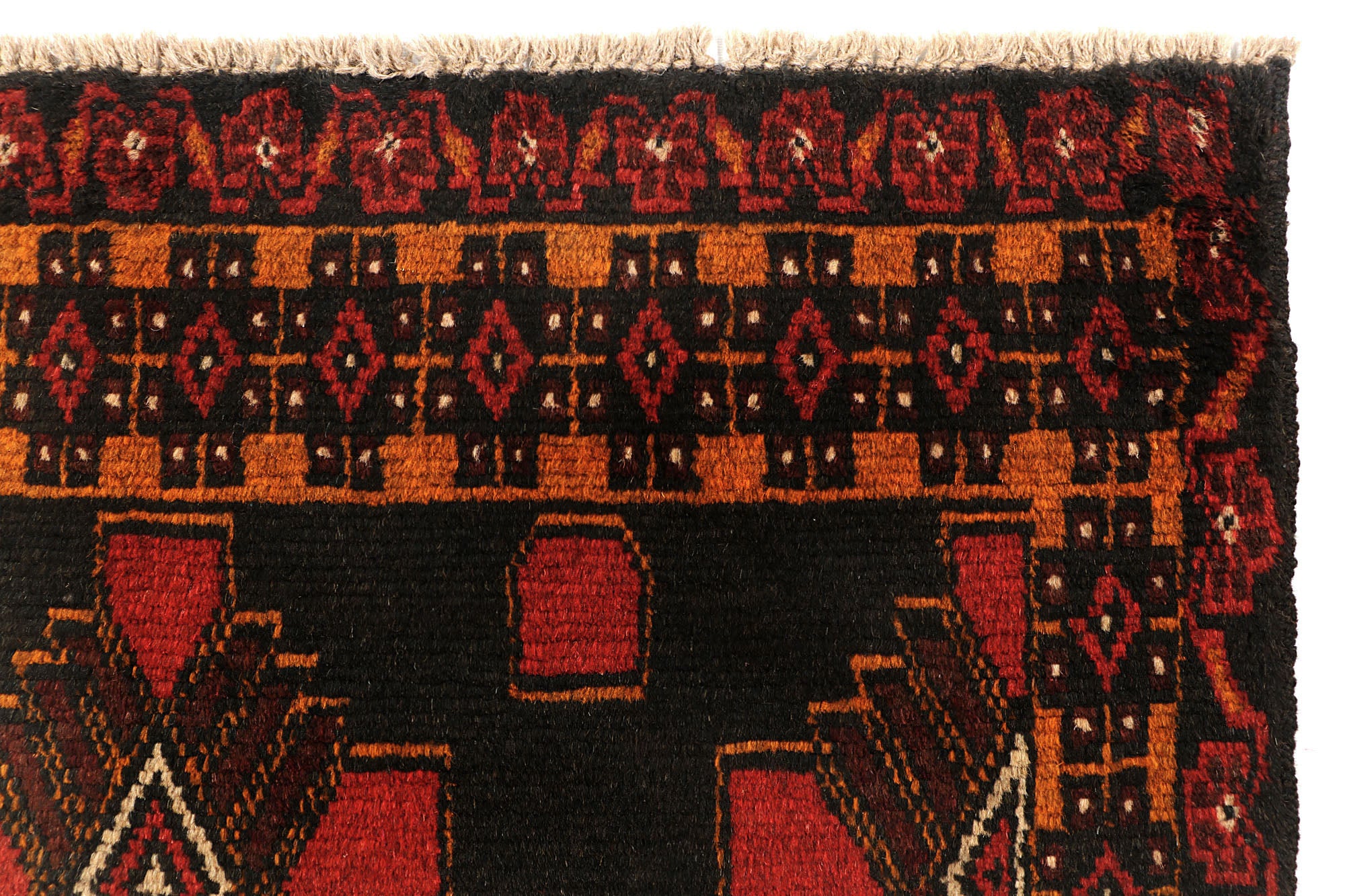 SHINDANDI BALUCHI