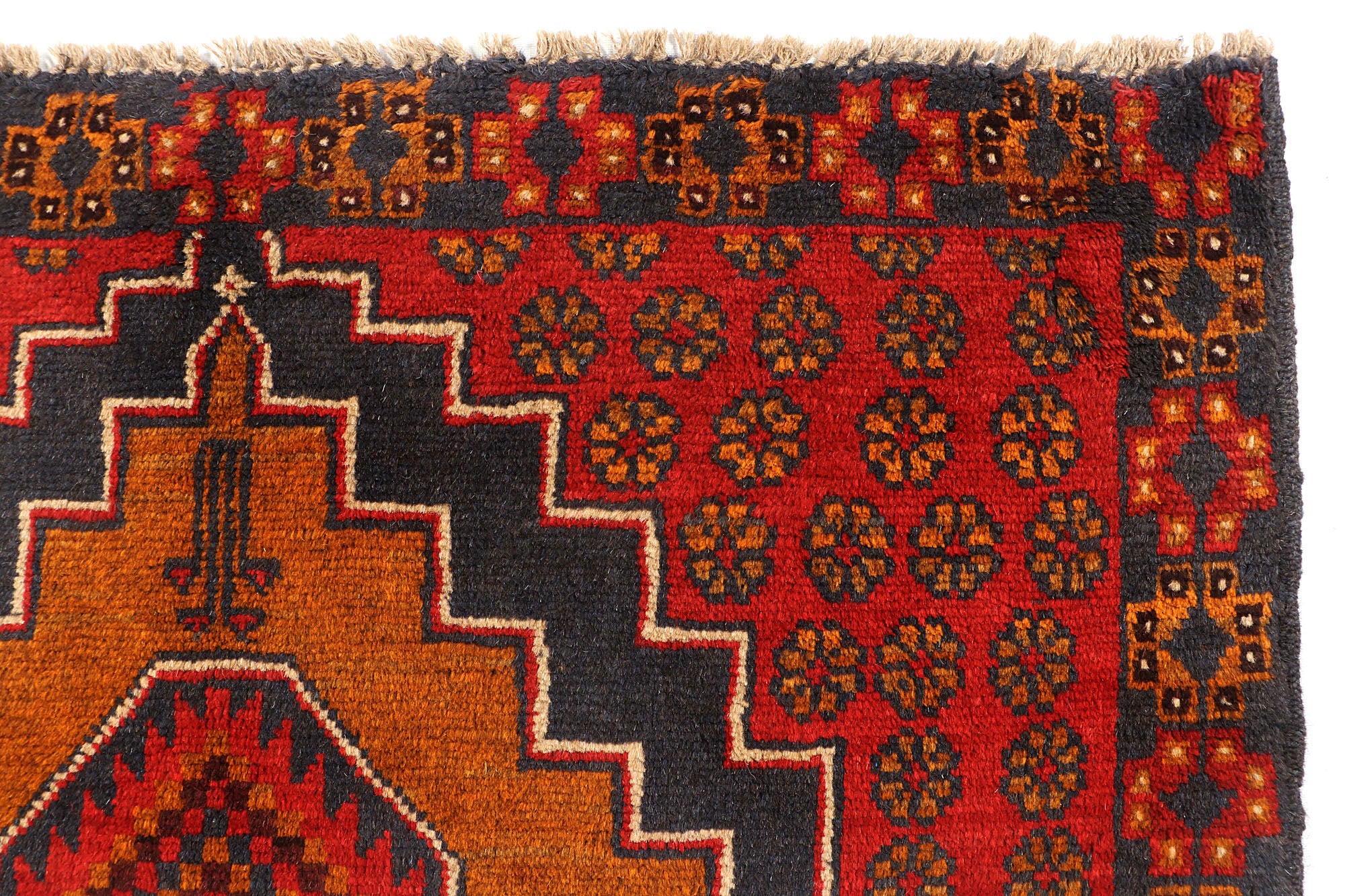 SHINDANDI BALUCHI