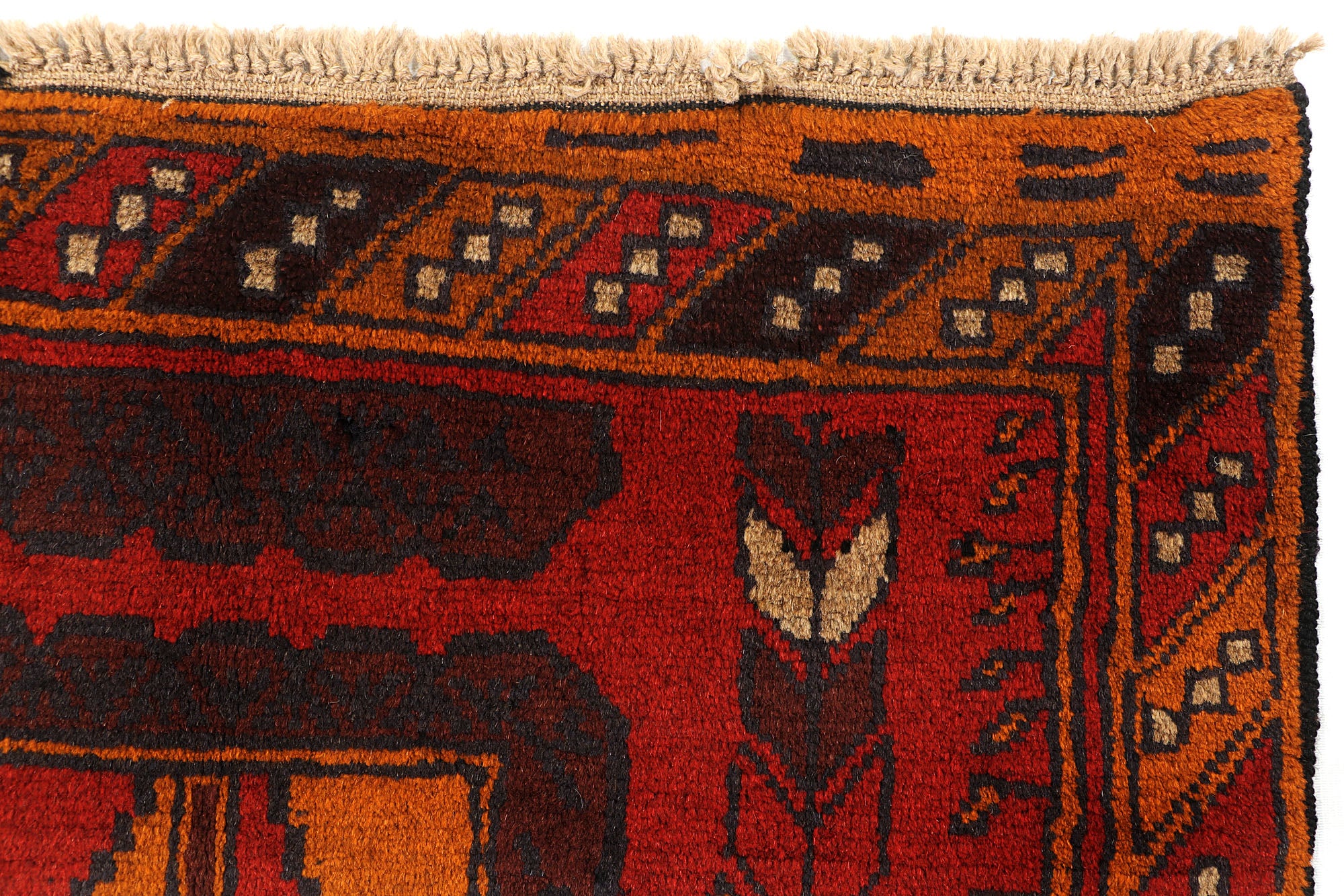 SHINDANDI BALUCHI