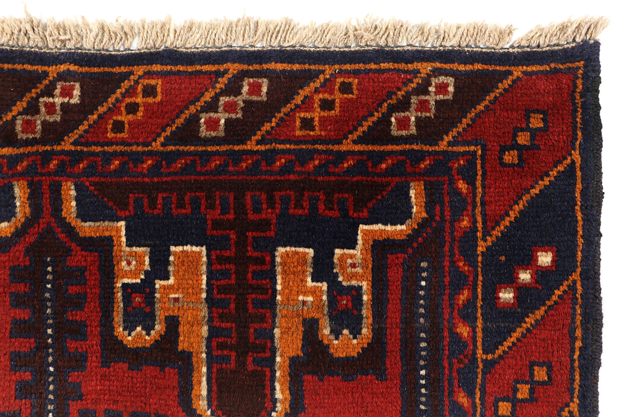 SHINDANDI BALUCHI