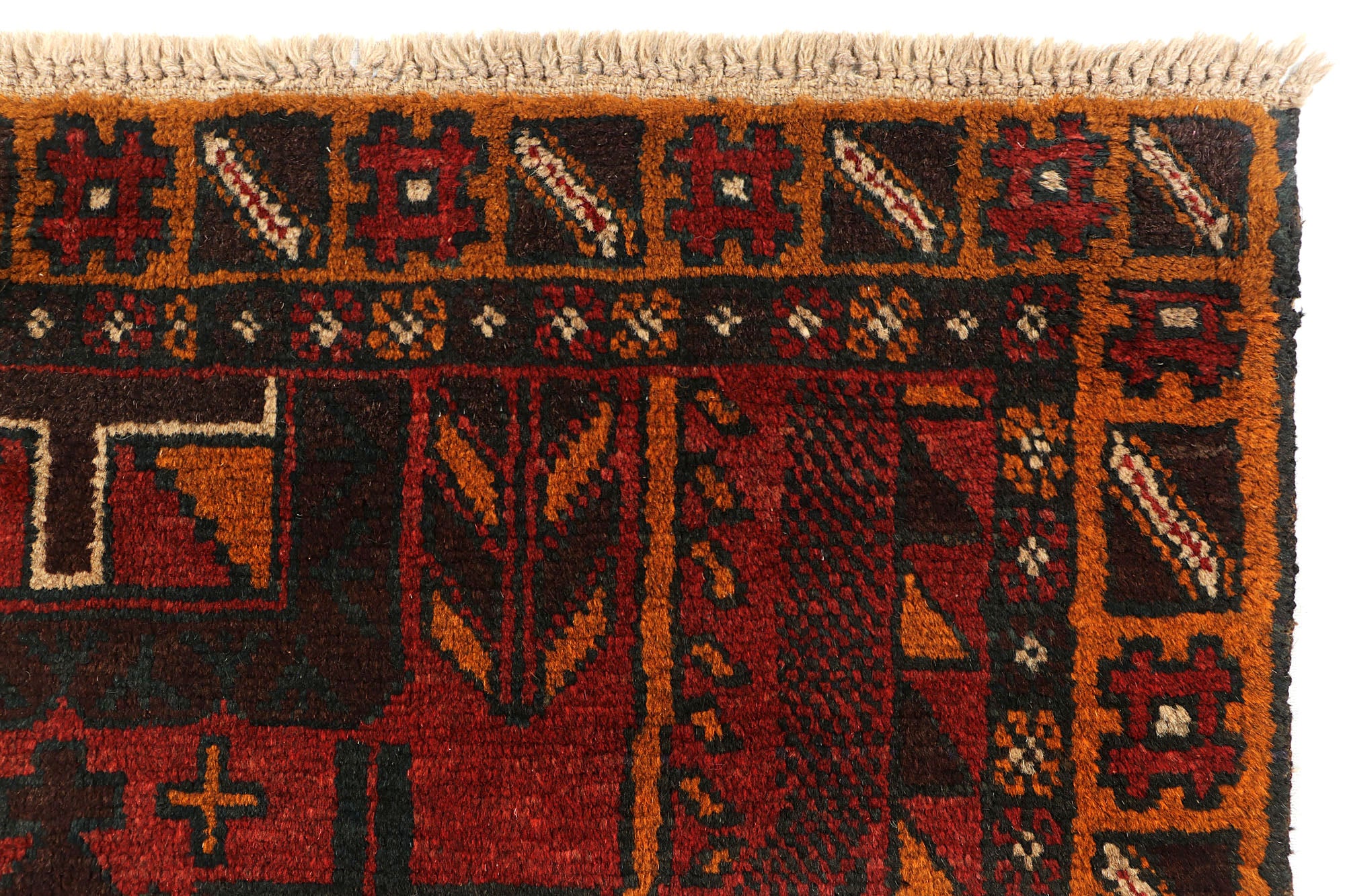 SHINDANDI BALUCHI