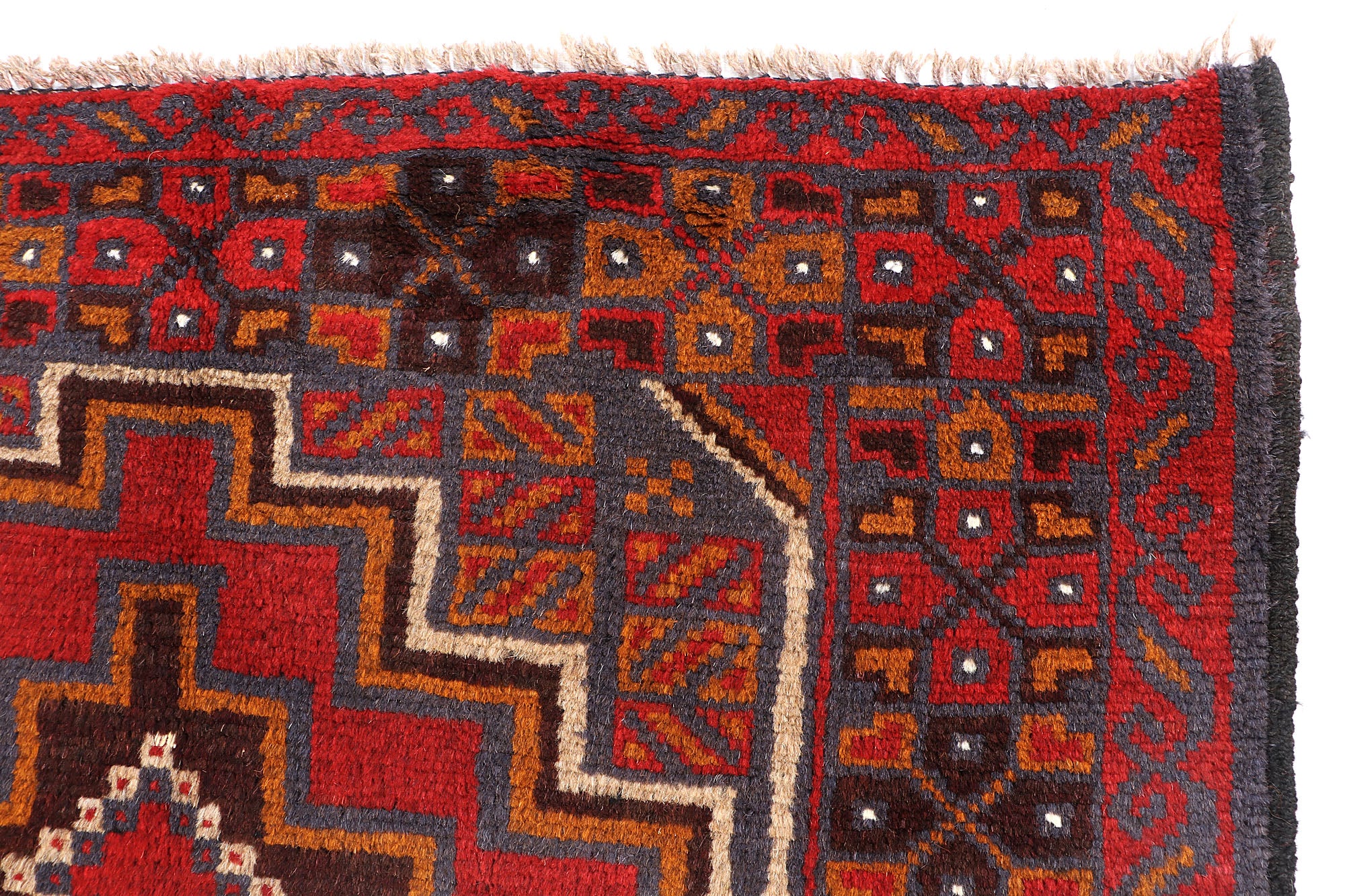 SHINDANDI BALUCHI