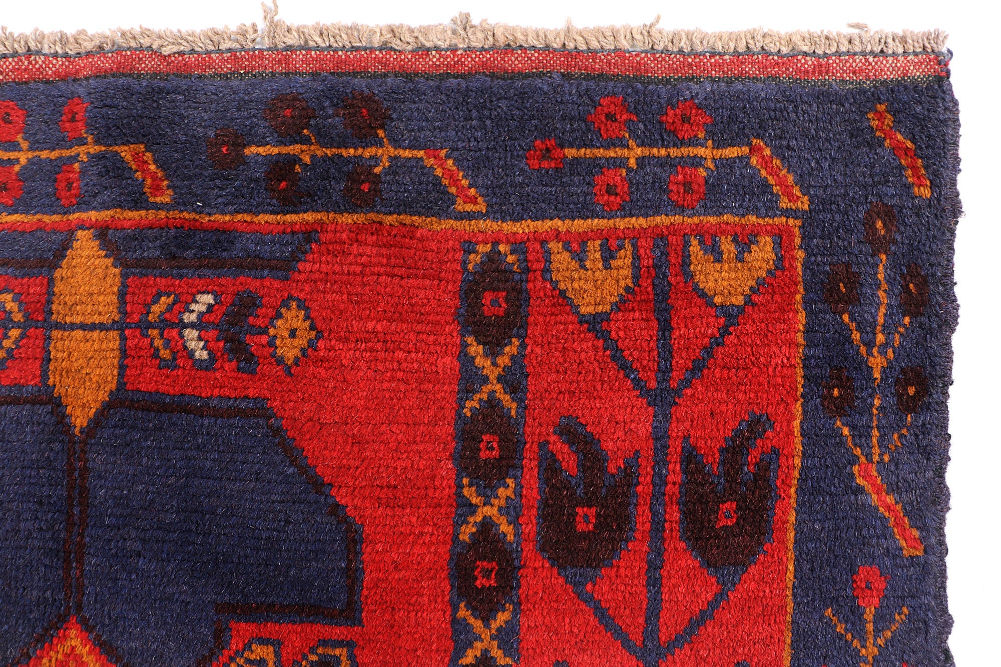 SHINDANDI BALUCHI