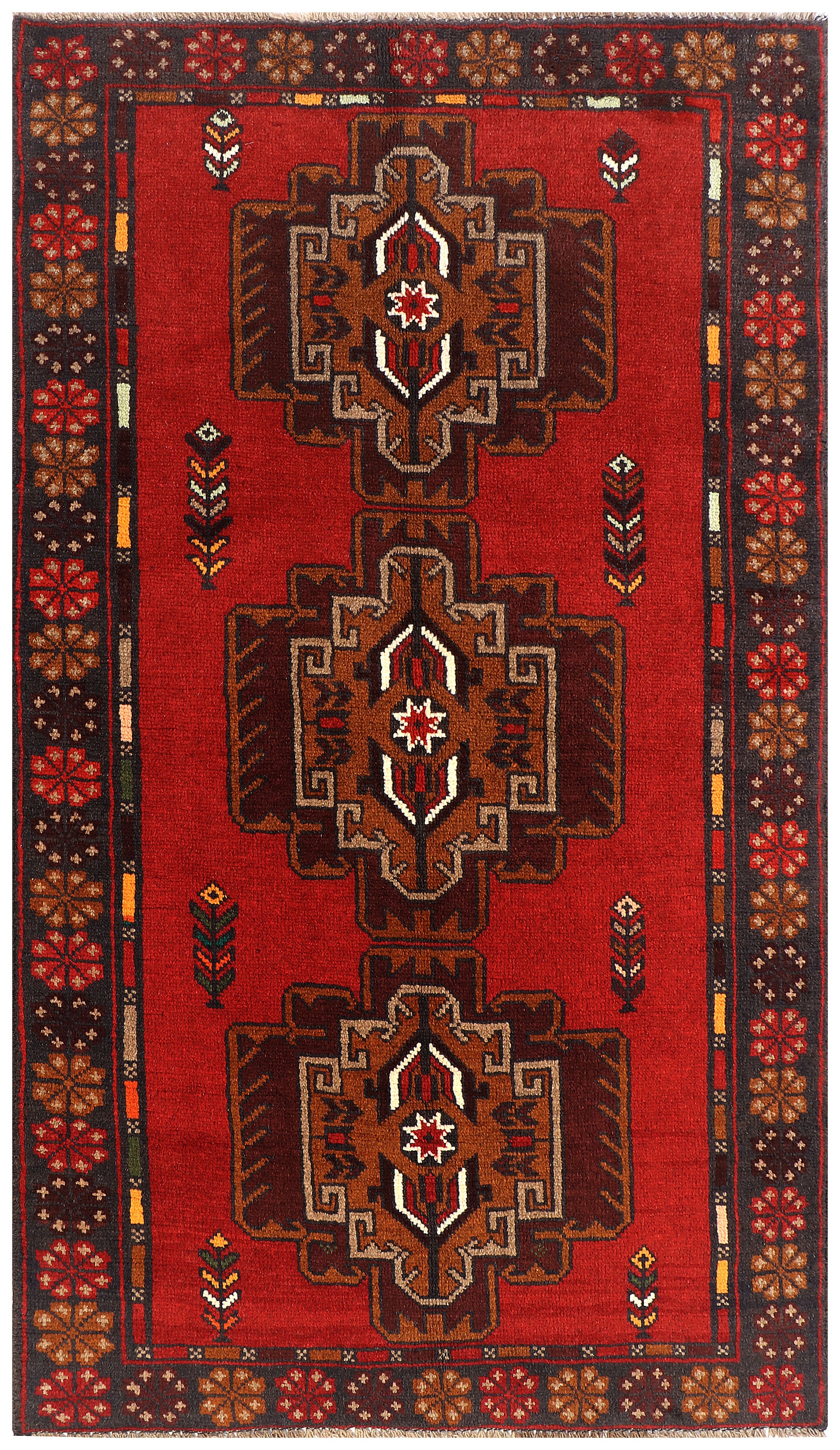 SHINDANDI BALUCHI