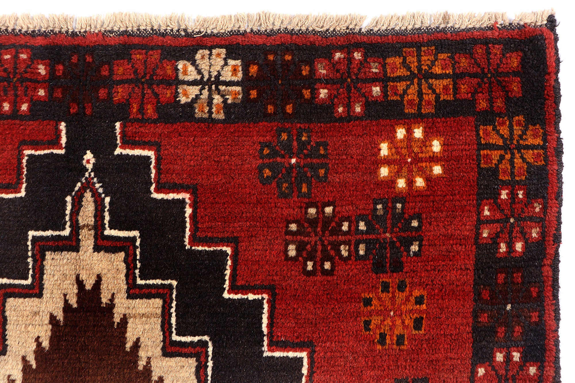 SHINDANDI BALUCHI
