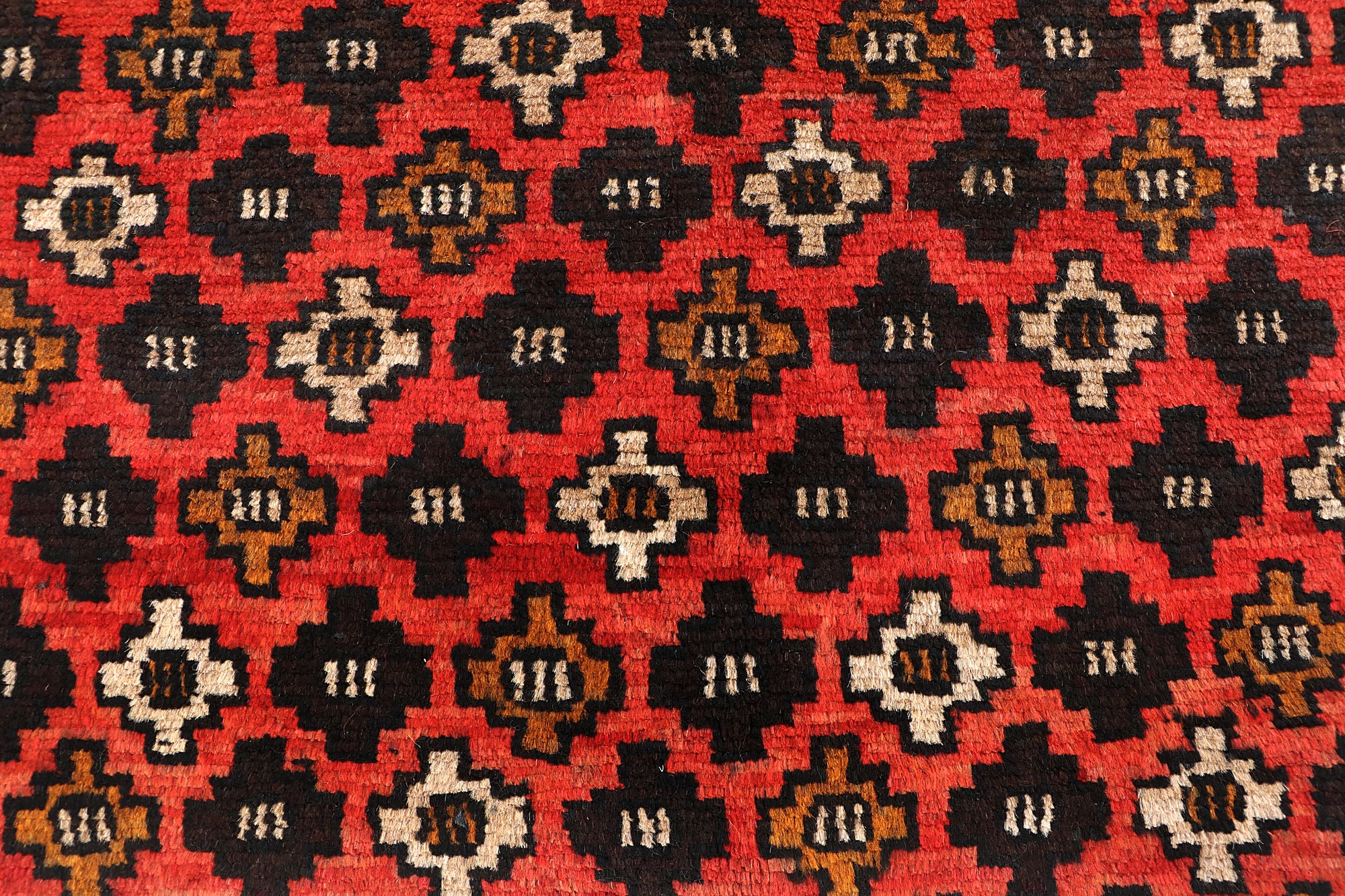 SHINDANDI BALUCHI