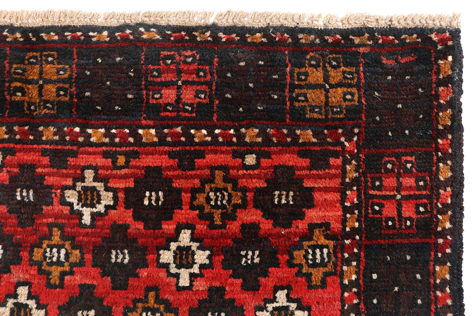 SHINDANDI BALUCHI