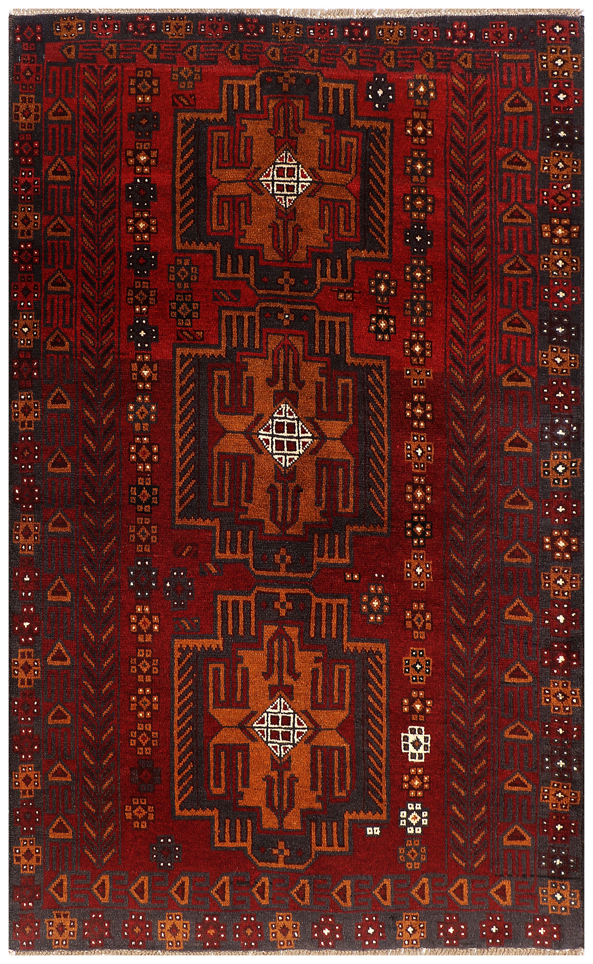 SHINDANDI BALUCHI
