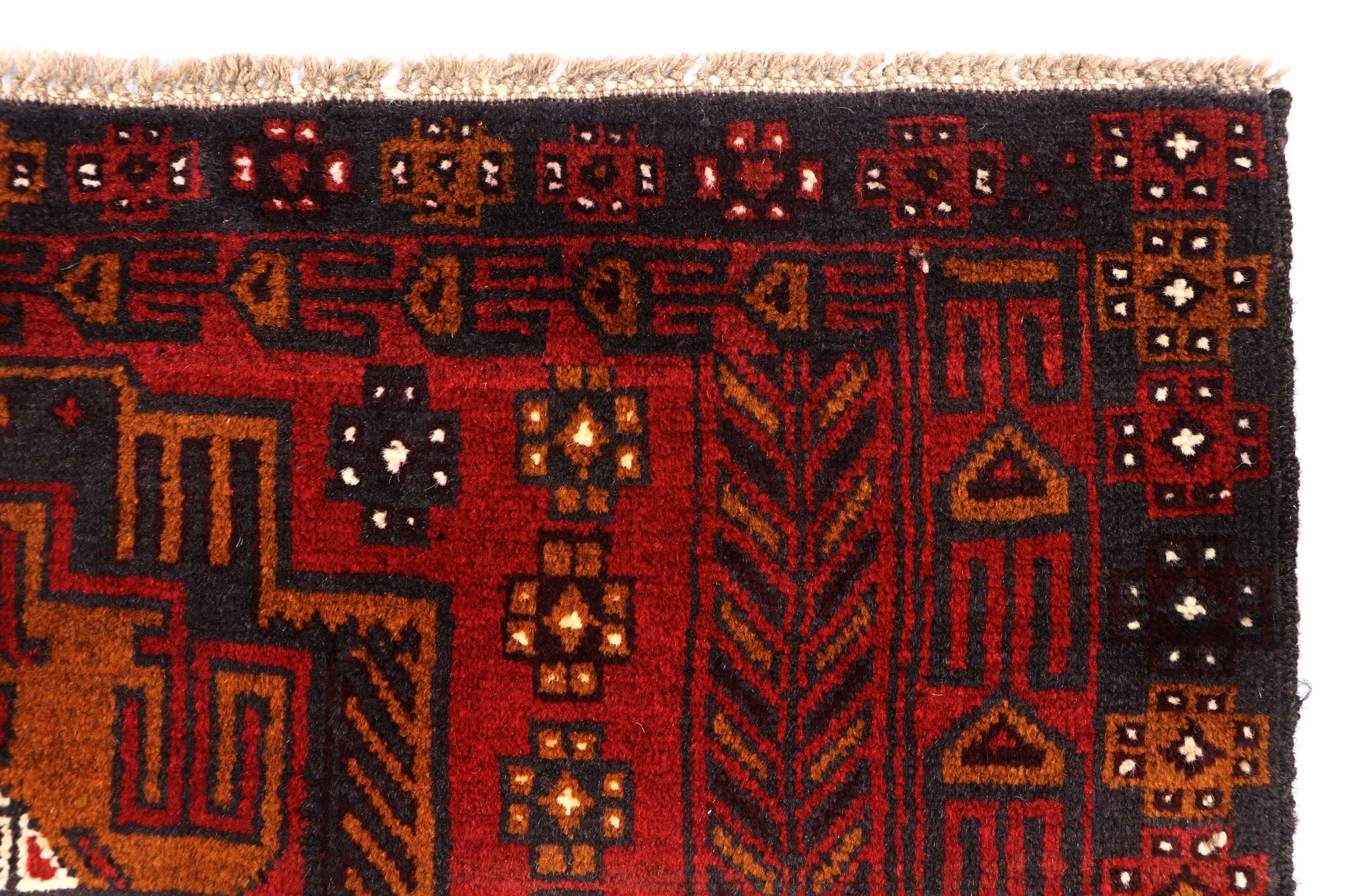 SHINDANDI BALUCHI