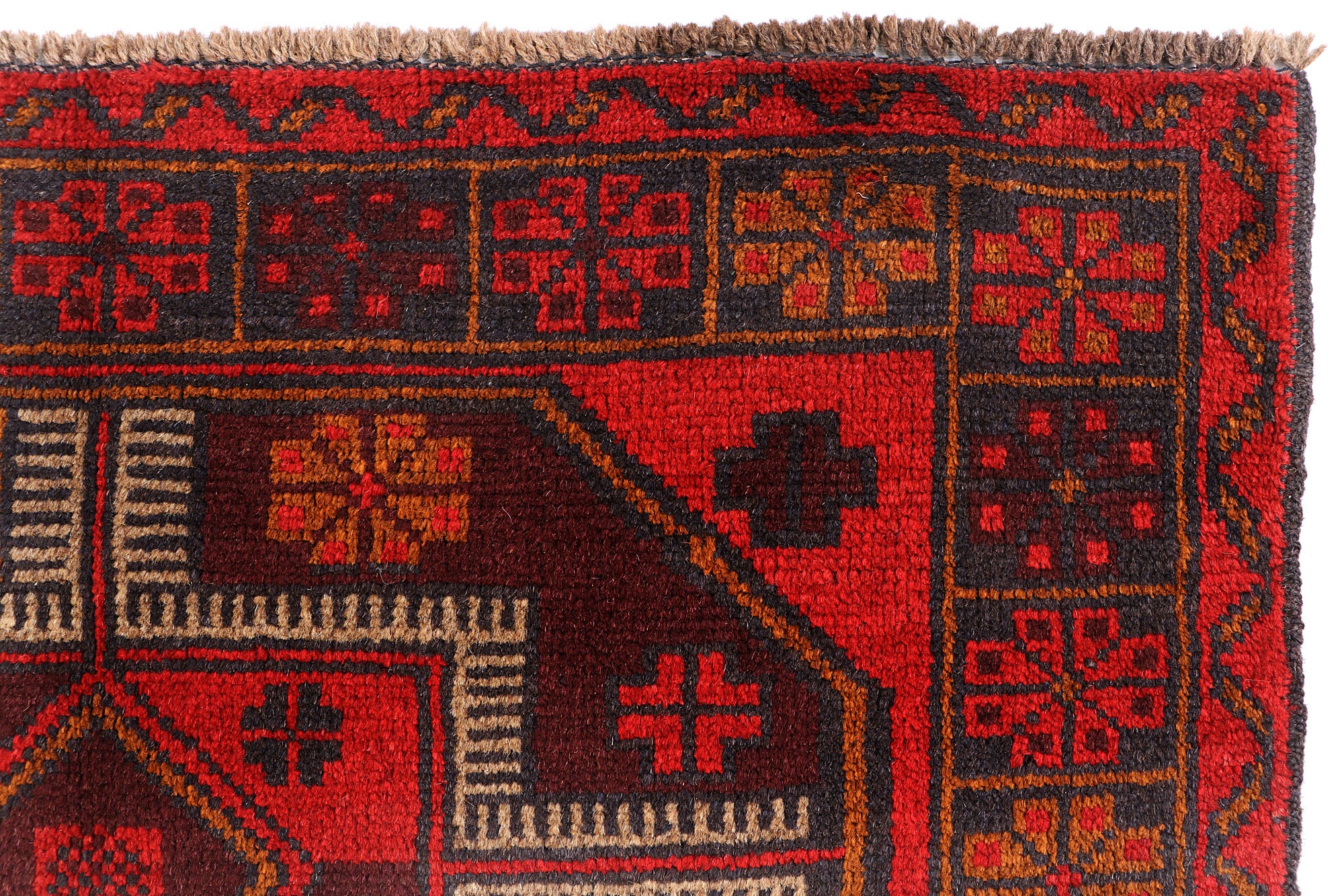 SHINDANDI BALUCHI