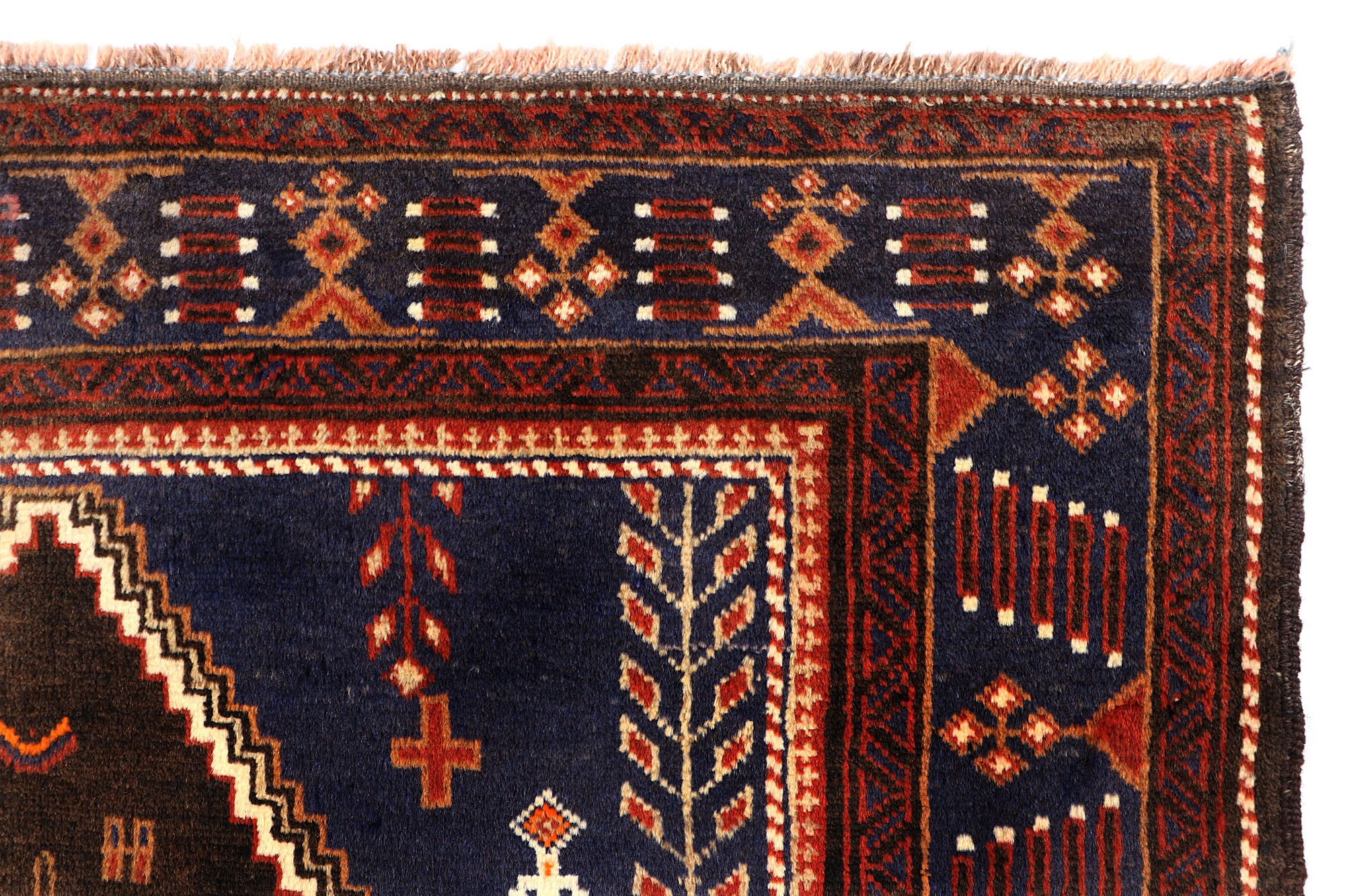 SHINDANDI BALUCHI
