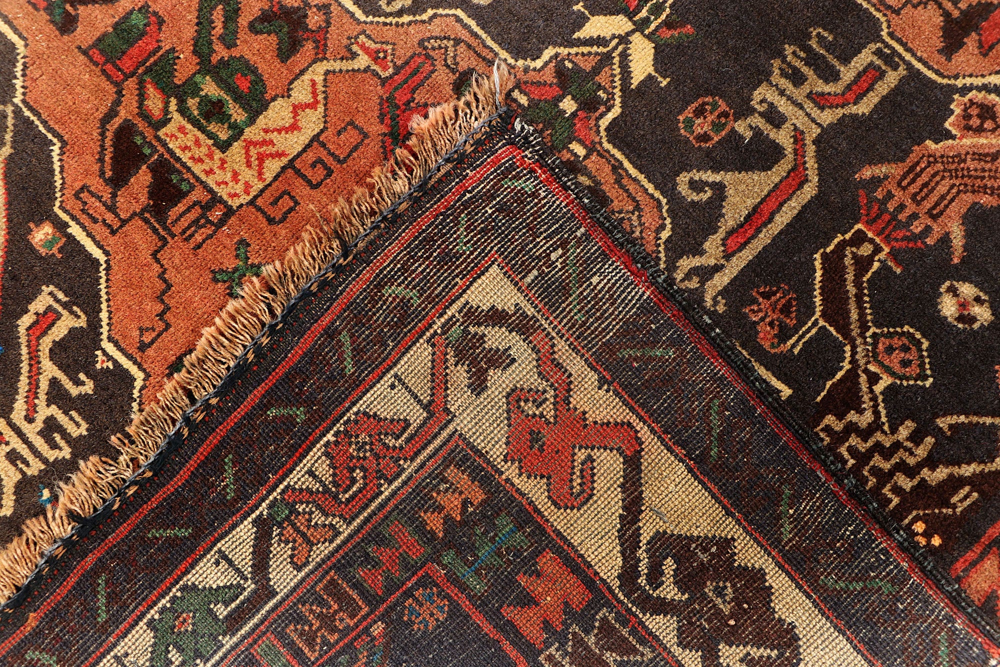 SHINDANDI BALUCHI