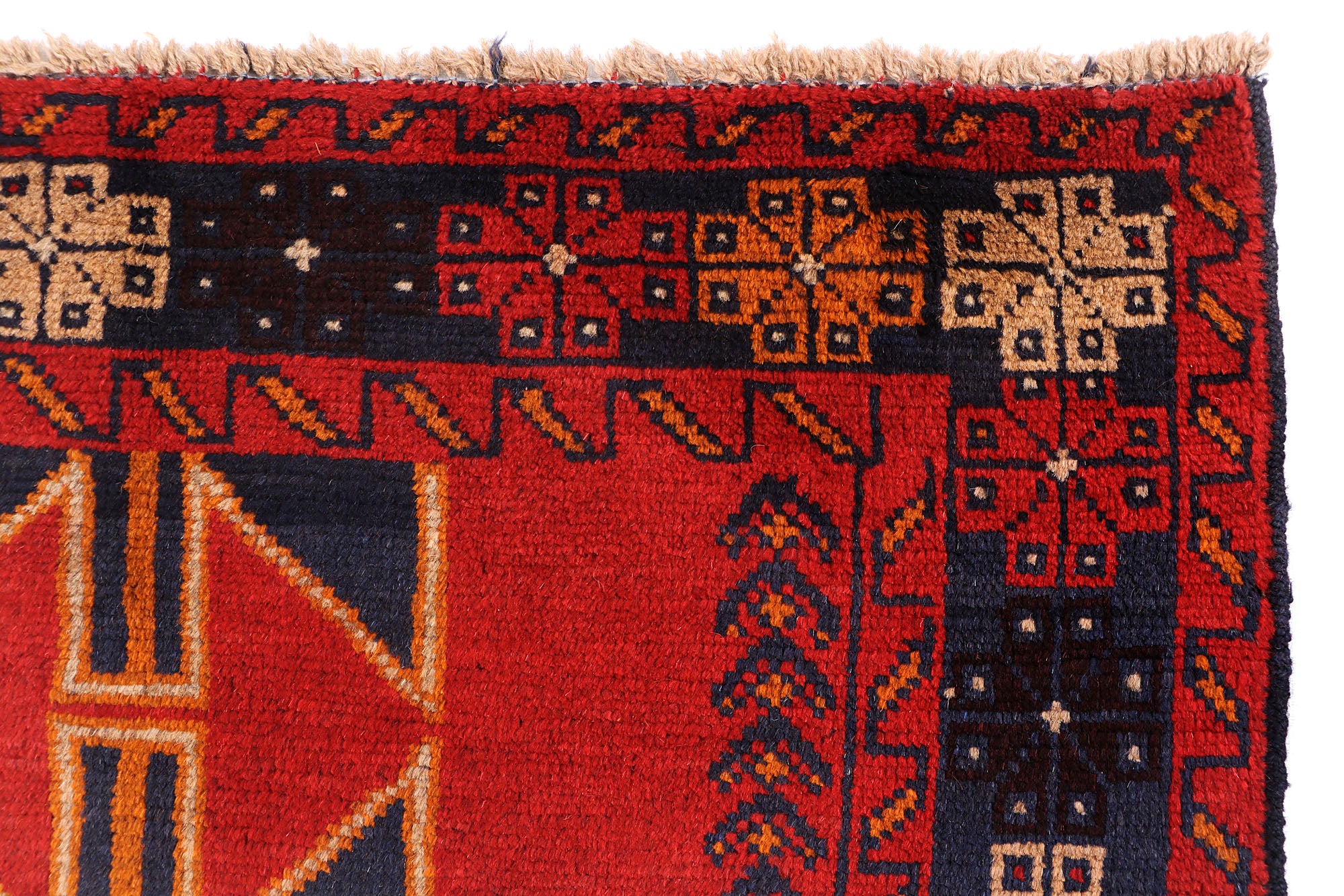 SHINDANDI BALUCHI