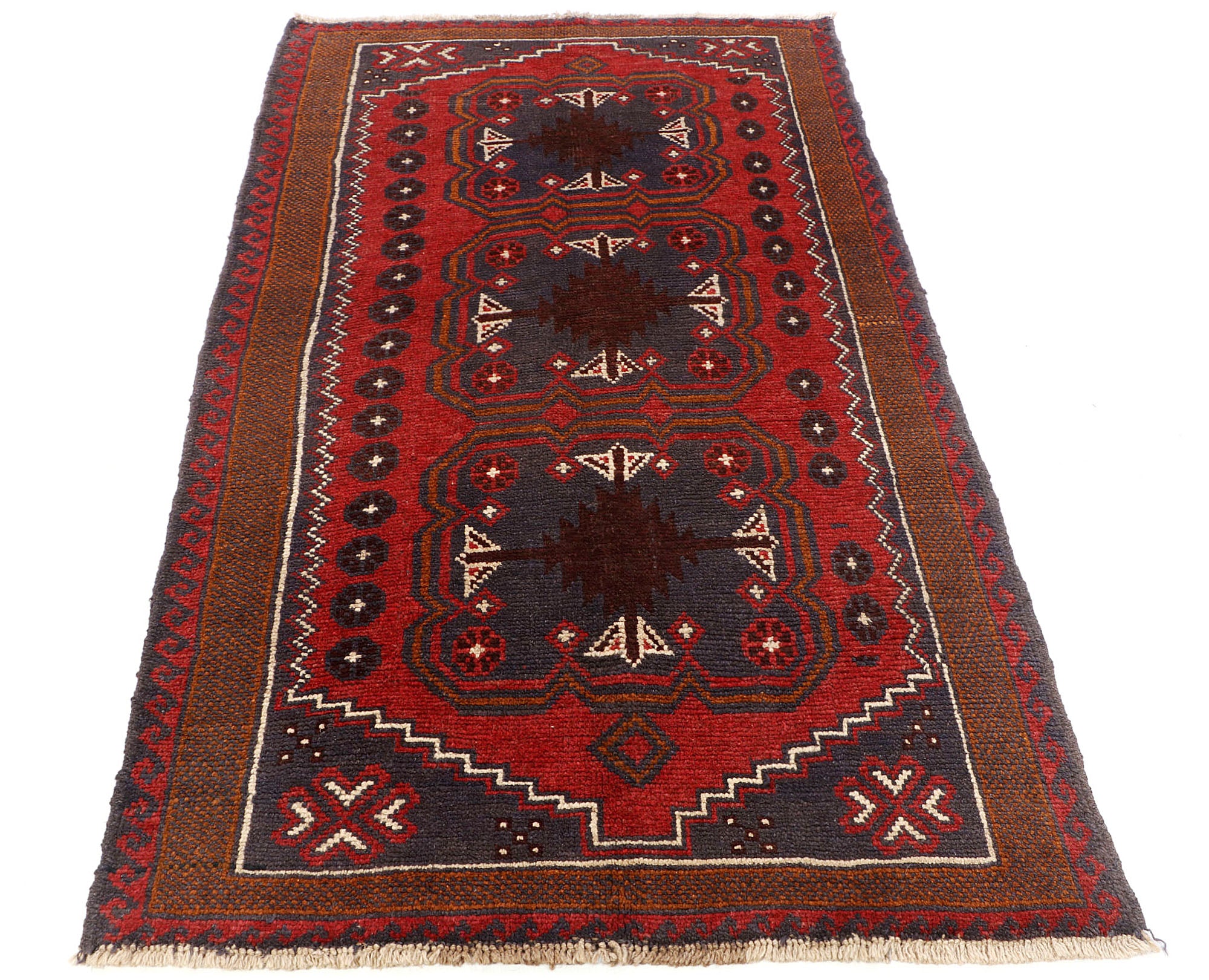 SHINDANDI BALUCHI