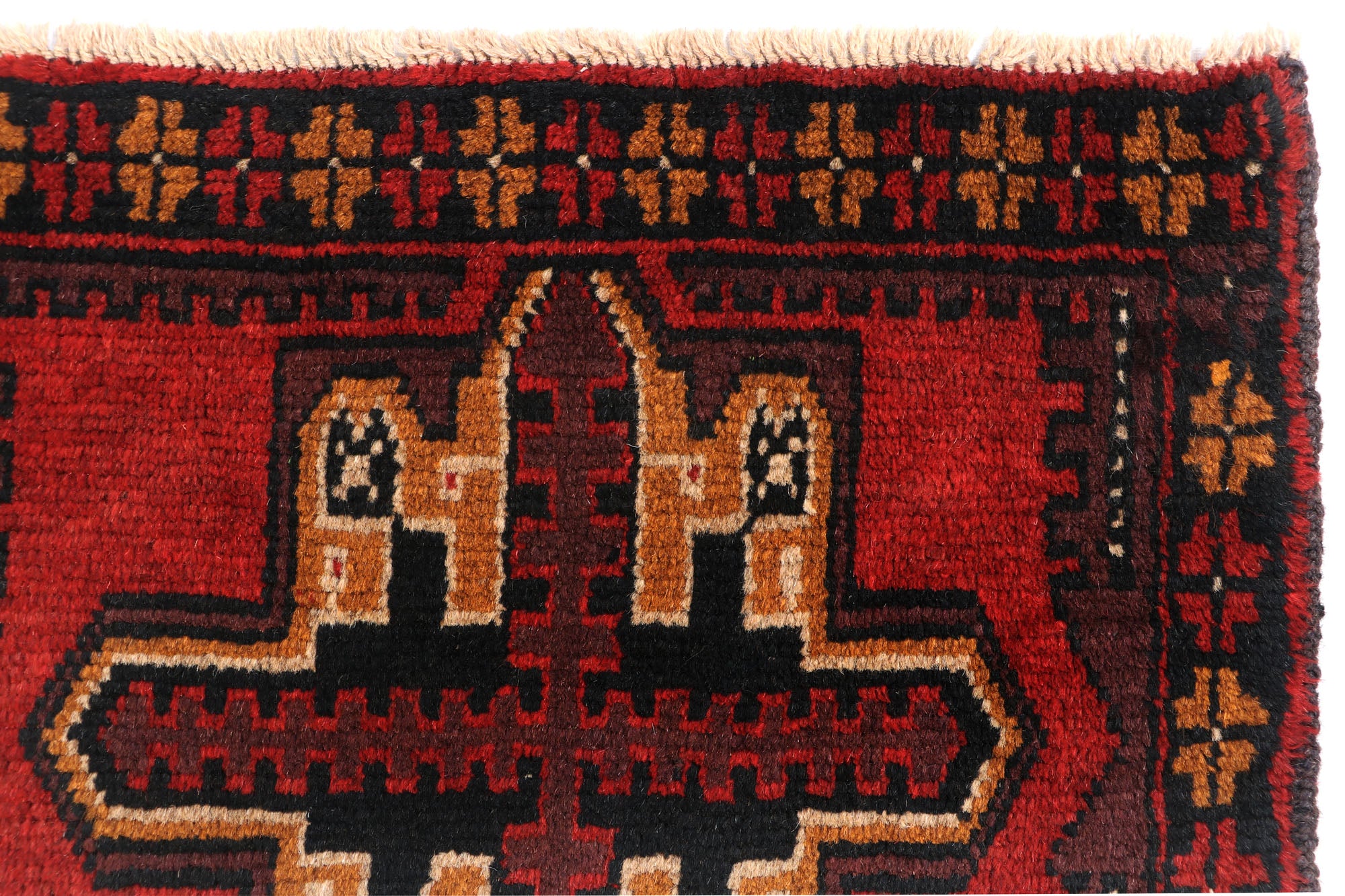 SHINDANDI BALUCHI