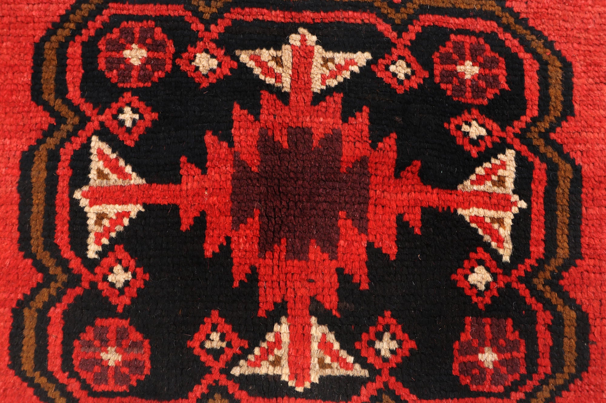 SHINDANDI BALUCHI