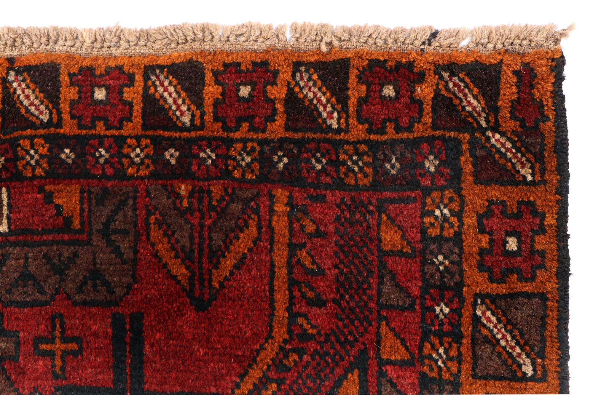 SHINDANDI BALUCHI