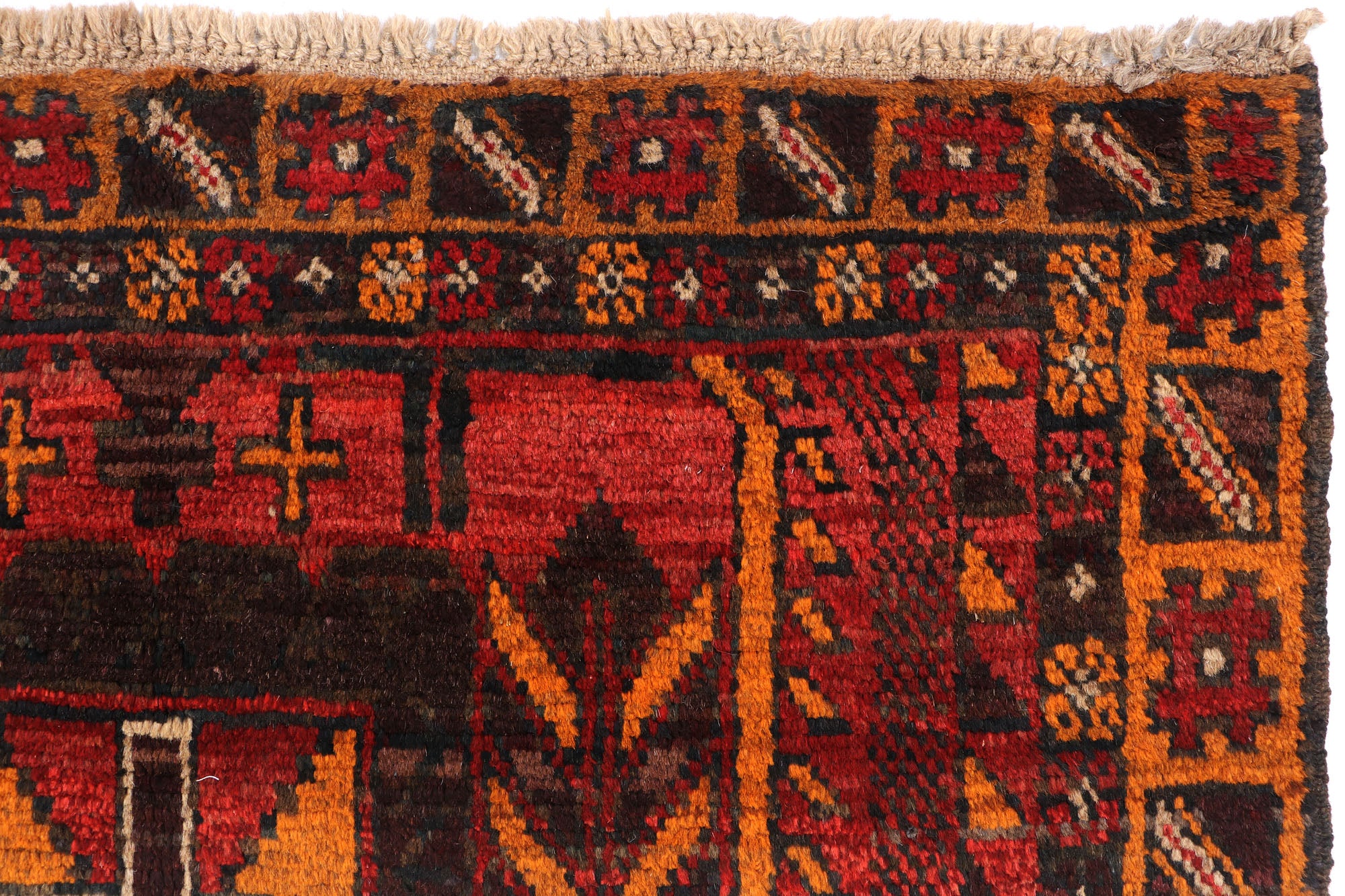 SHINDANDI BALUCHI