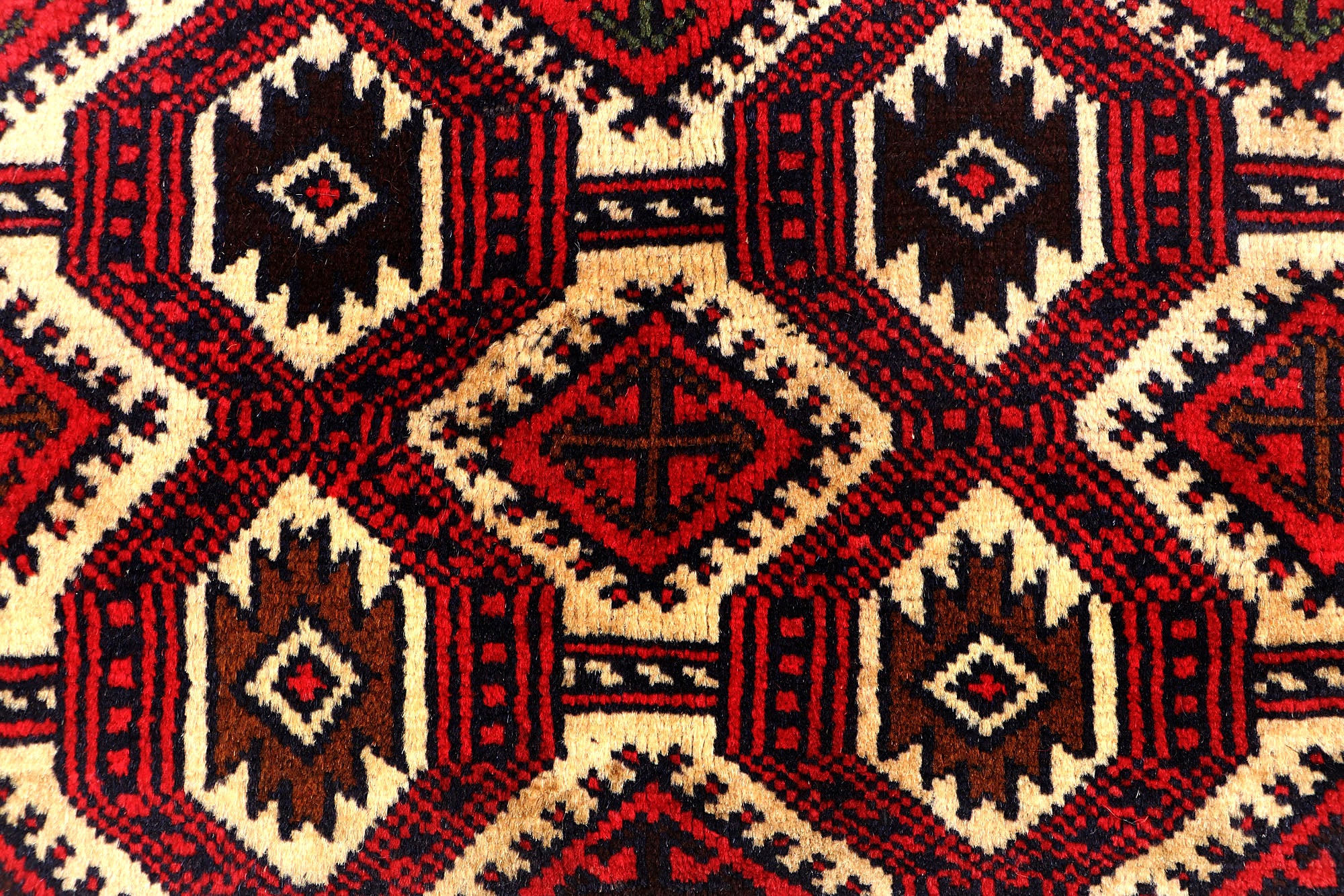 SHINDANDI BALUCHI