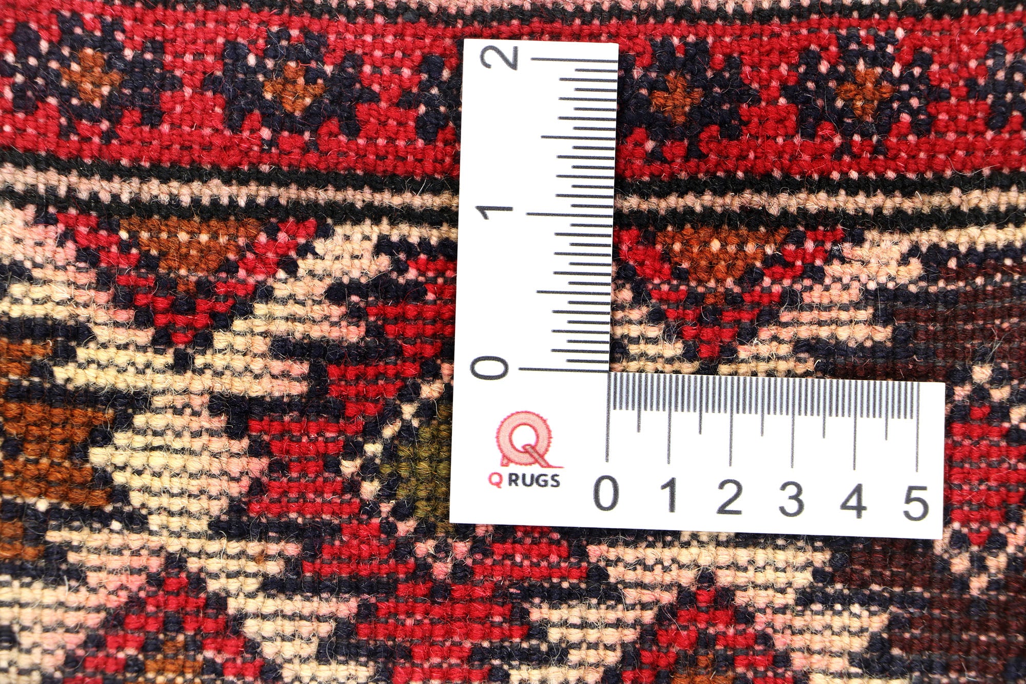 SHINDANDI BALUCHI
