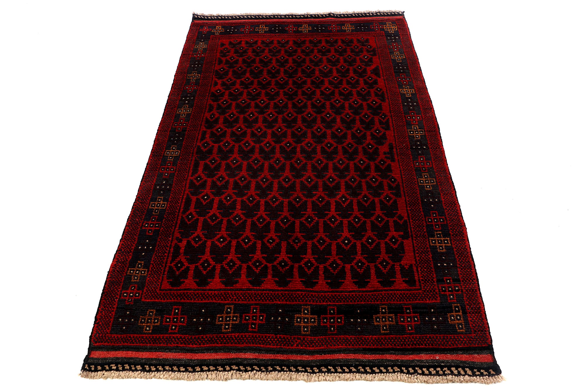 SHINDANDI BALUCHI