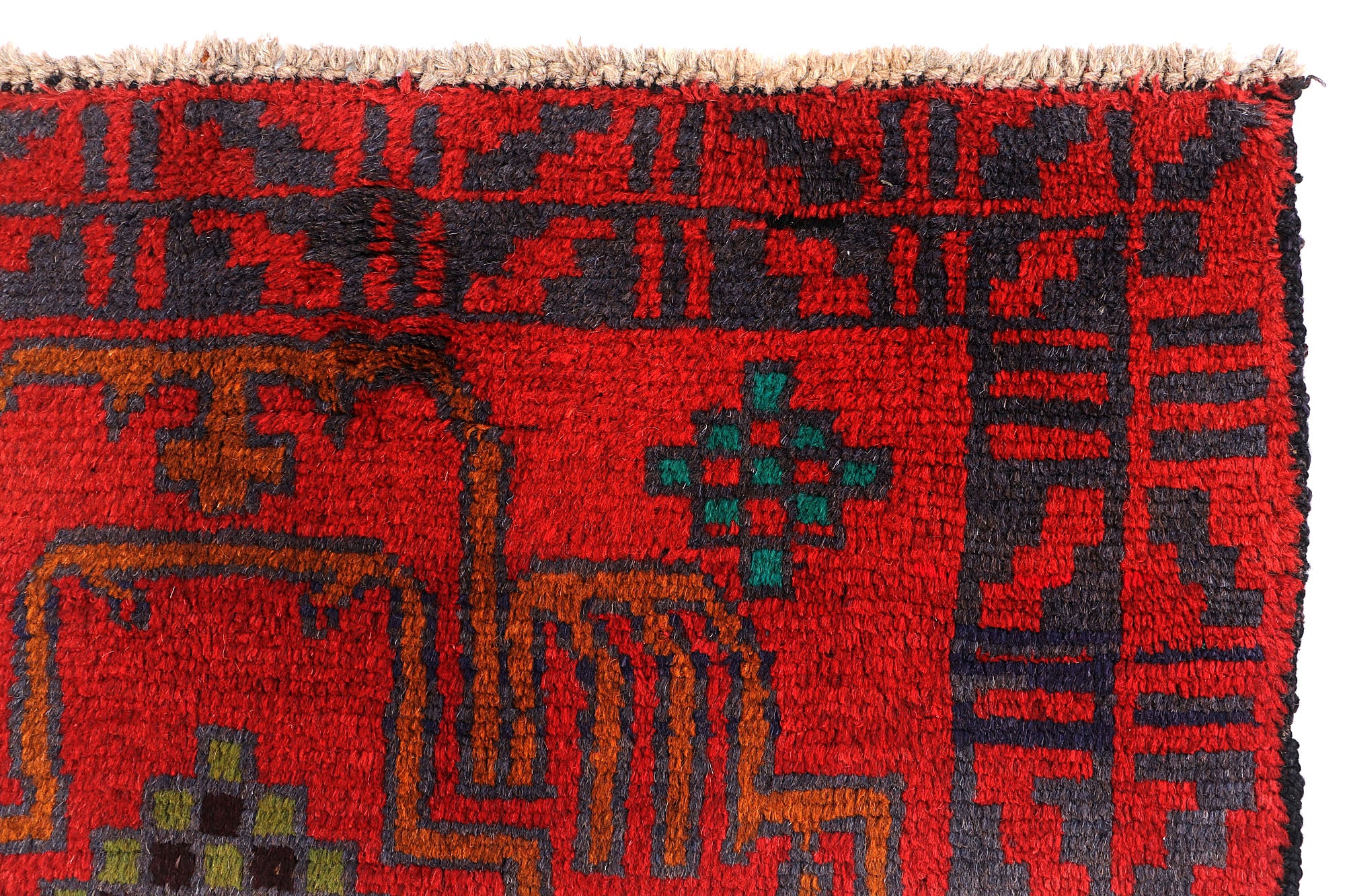 SHINDANDI BALUCHI