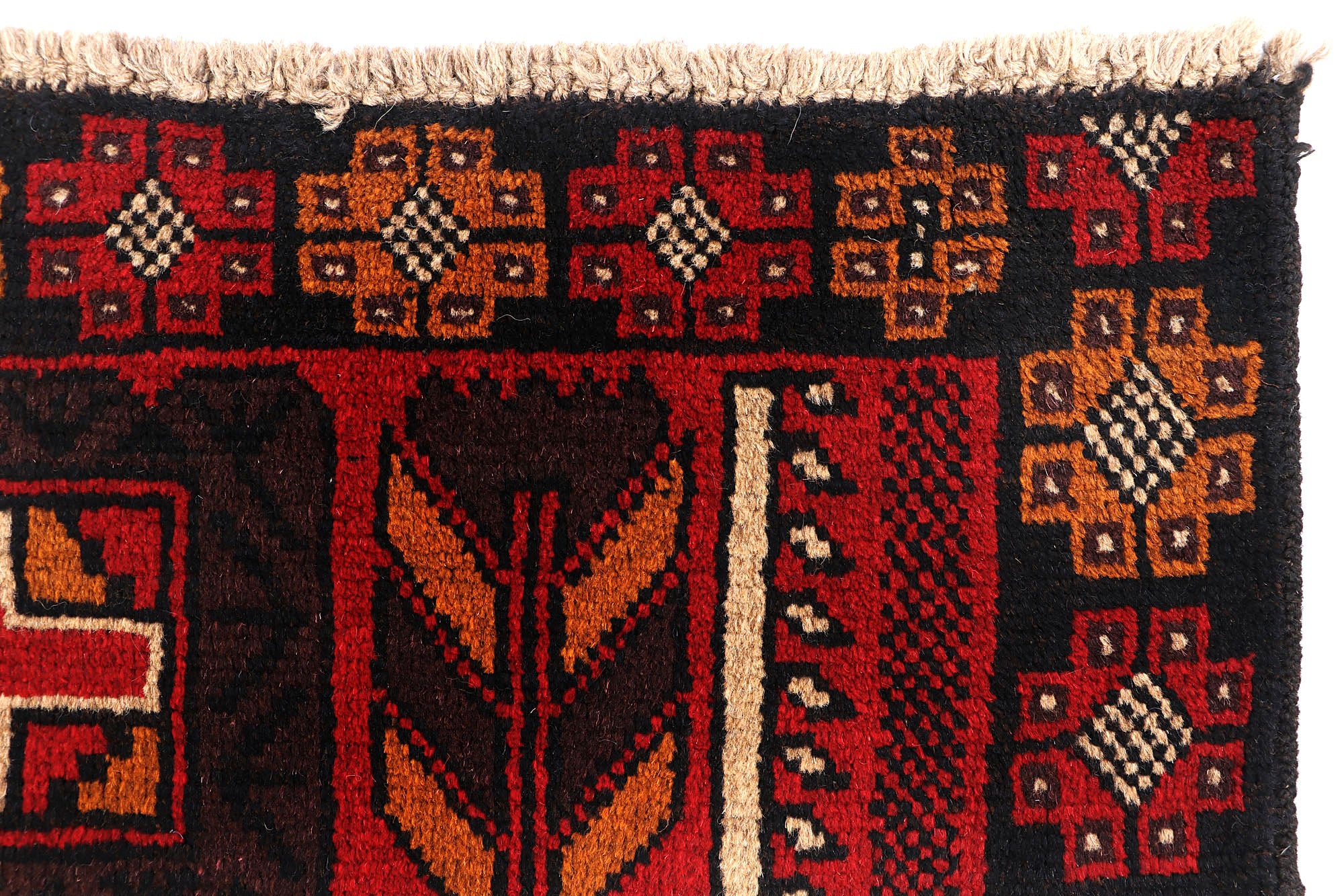 SHINDANDI BALUCHI