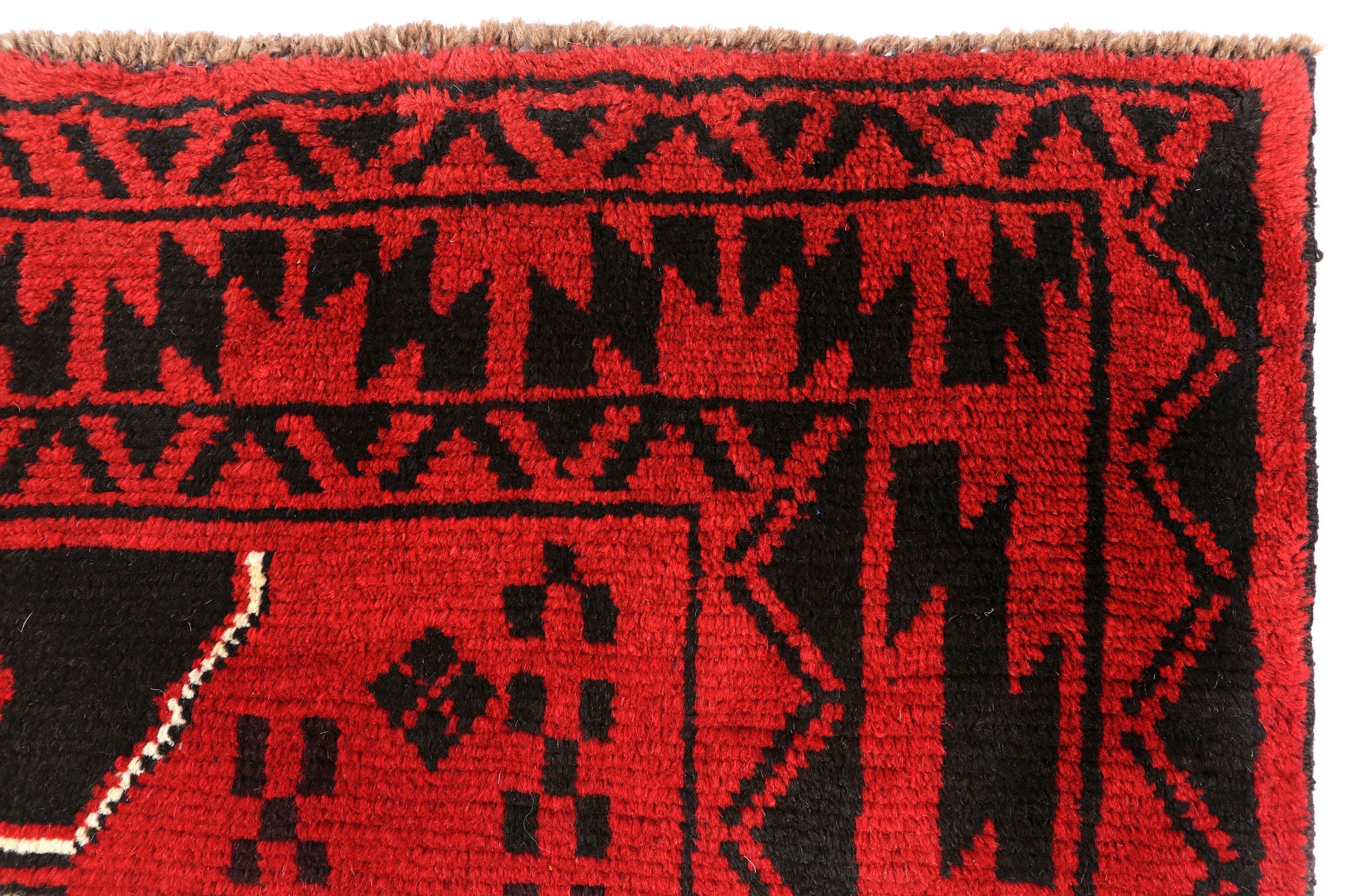 SHINDANDI BALUCHI