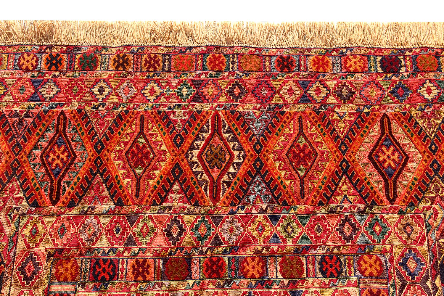 BILJIK DAIZANGI