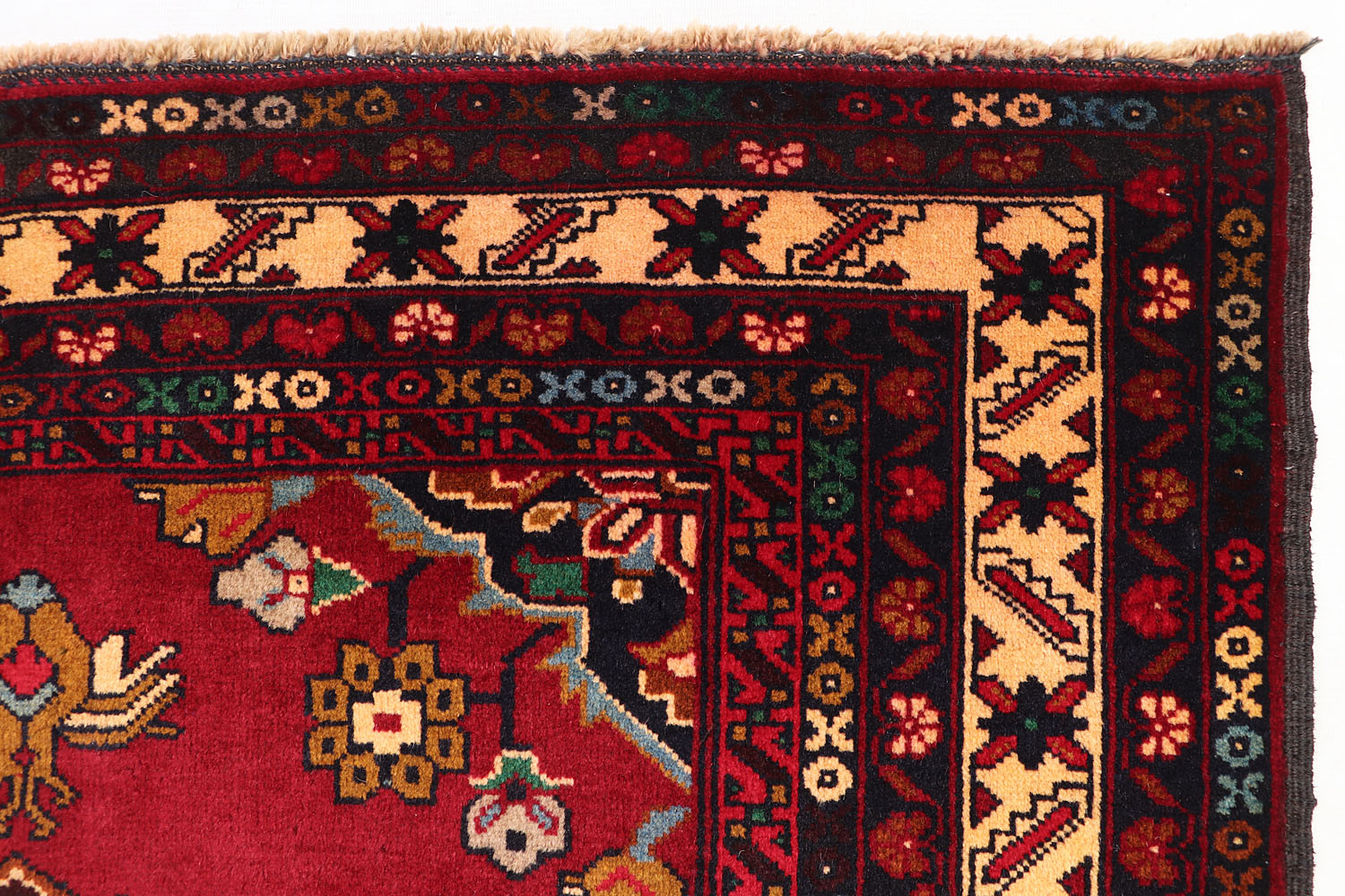 ADRASKAN BALUCHI