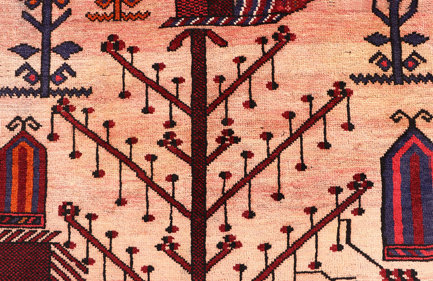ADRASKAN BALUCHI